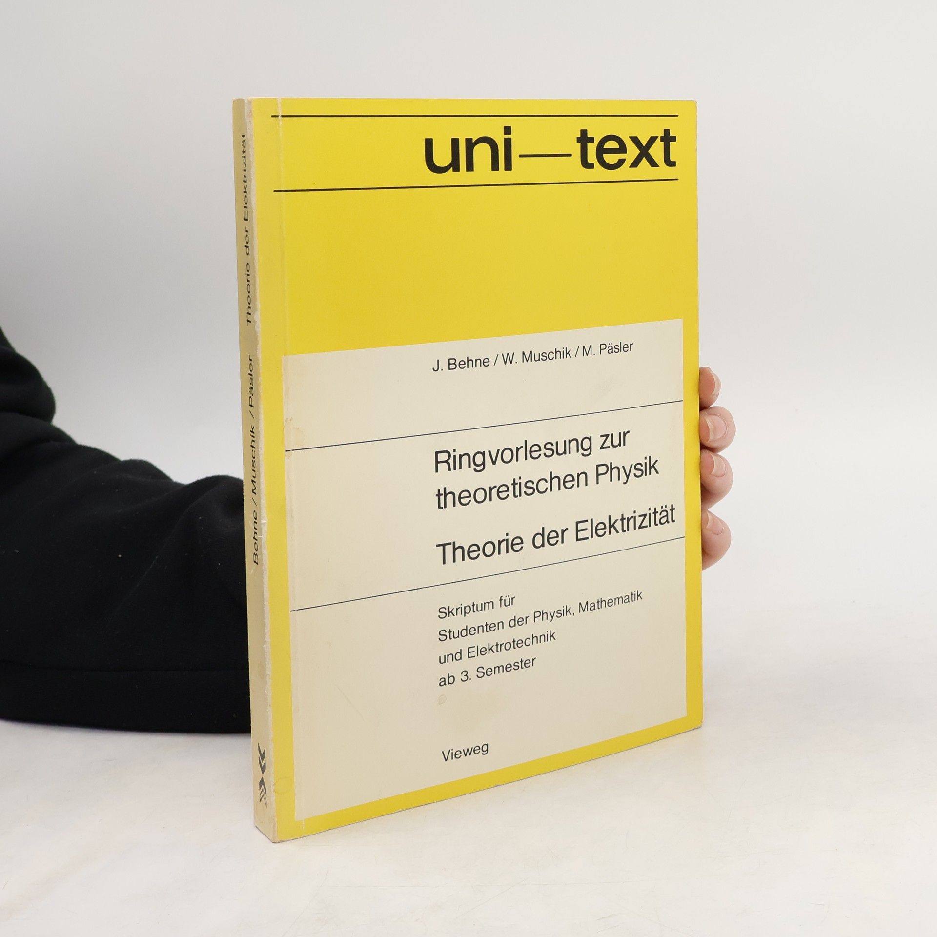 Jürgen Behne Theorie der Elektrizität