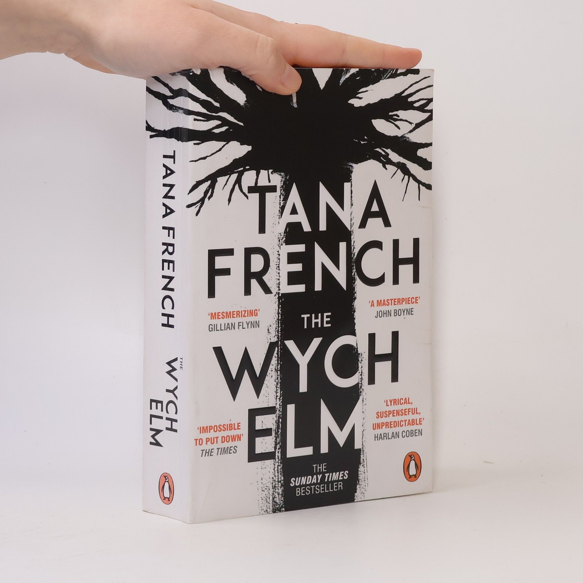 Tana French The Wych Elm