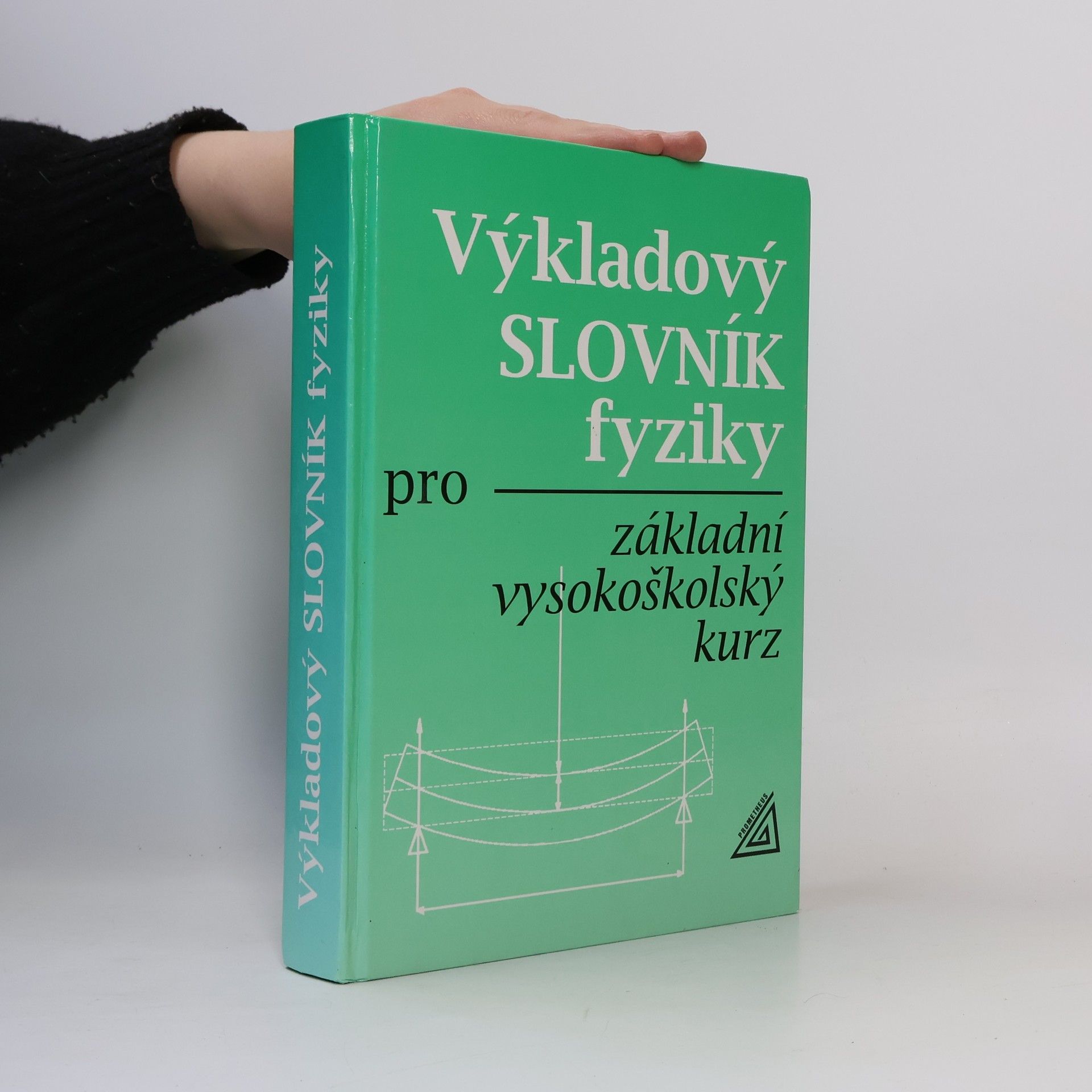 Erika Mechlová Výkladový slovník fyziky pro základní vysokoškolský kurz