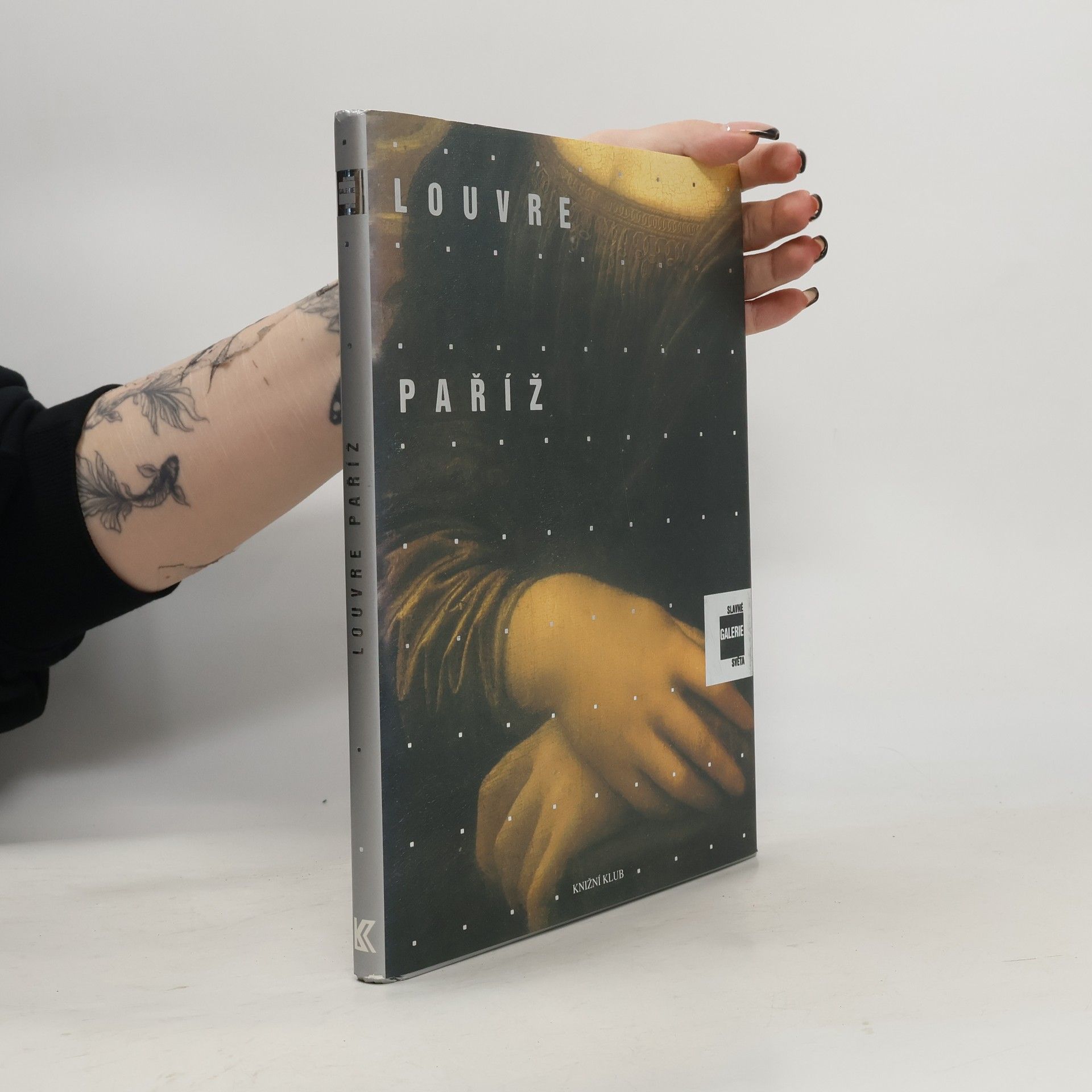 Alessandra Fregolent Slavné galerie světa. Louvre - Paříž