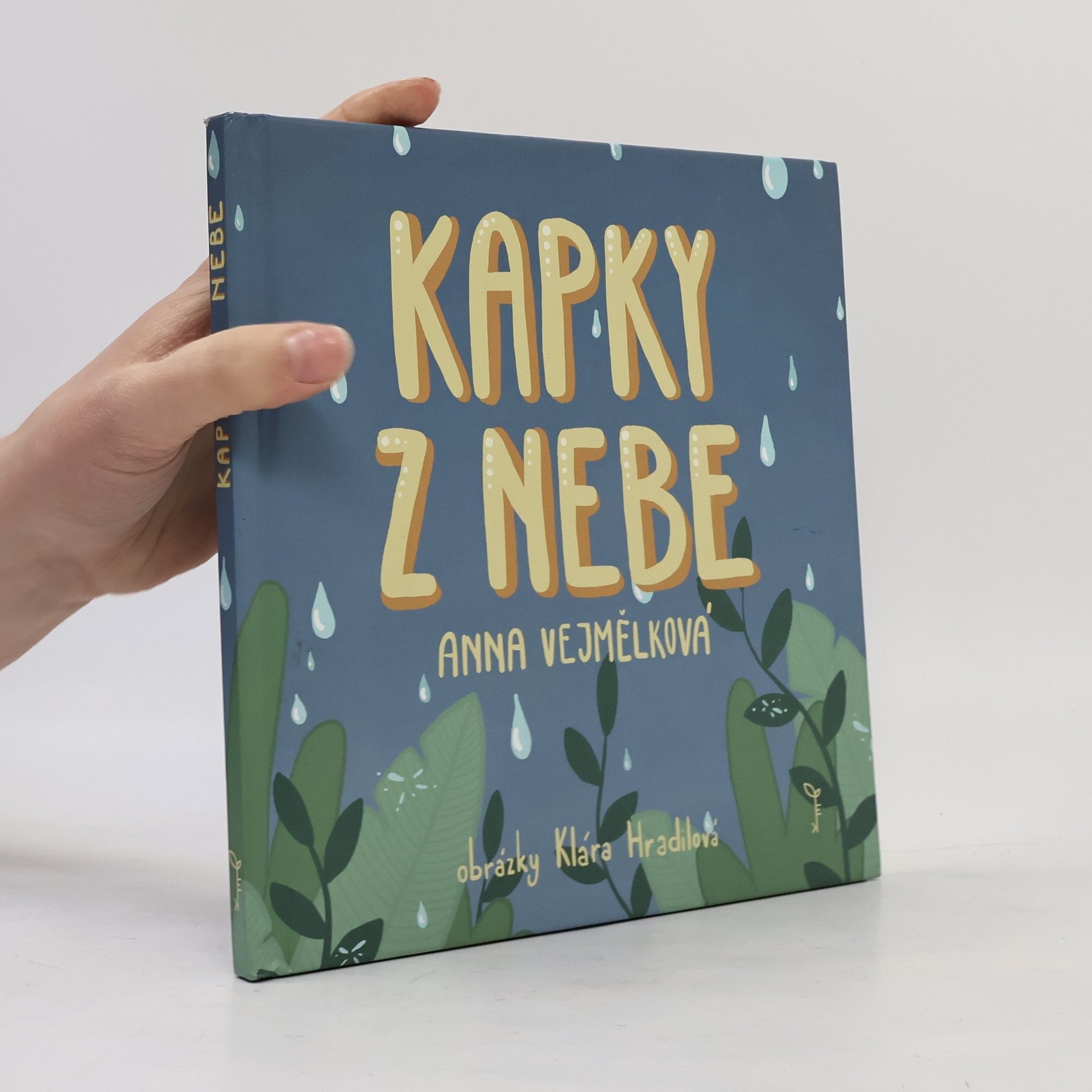 Anna Vejmělková Kapky z nebe