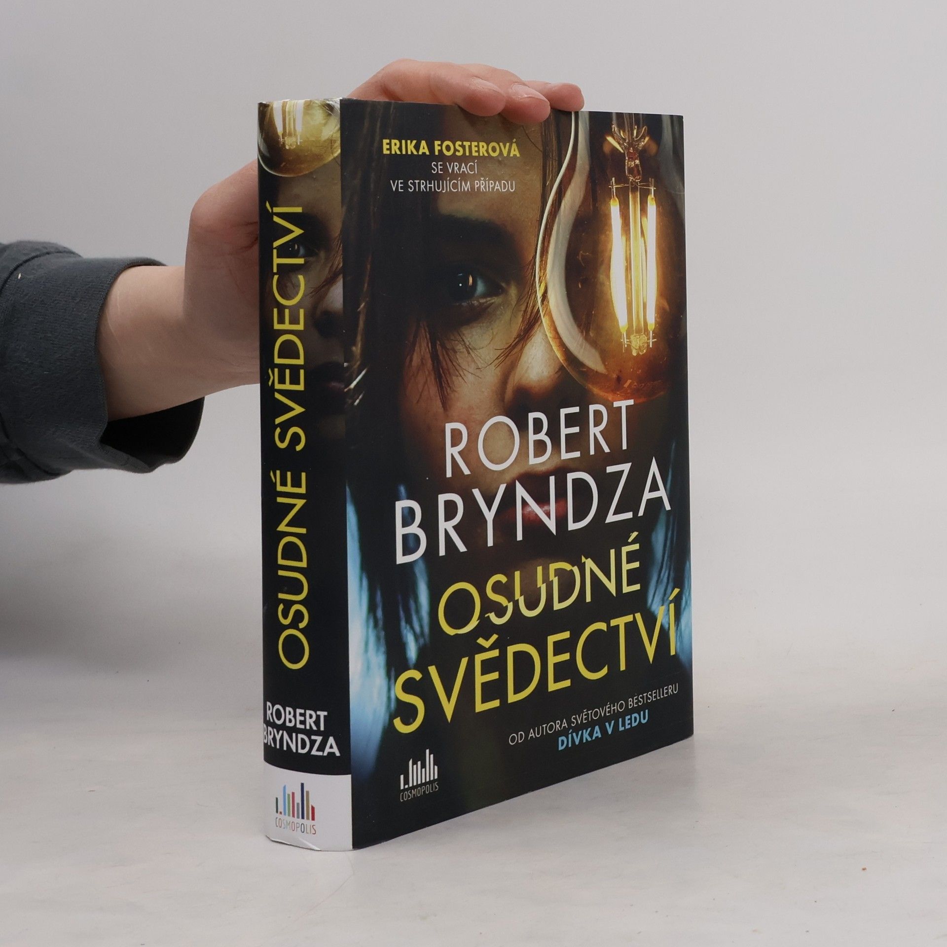 Robert Bryndza Osudné svědectví