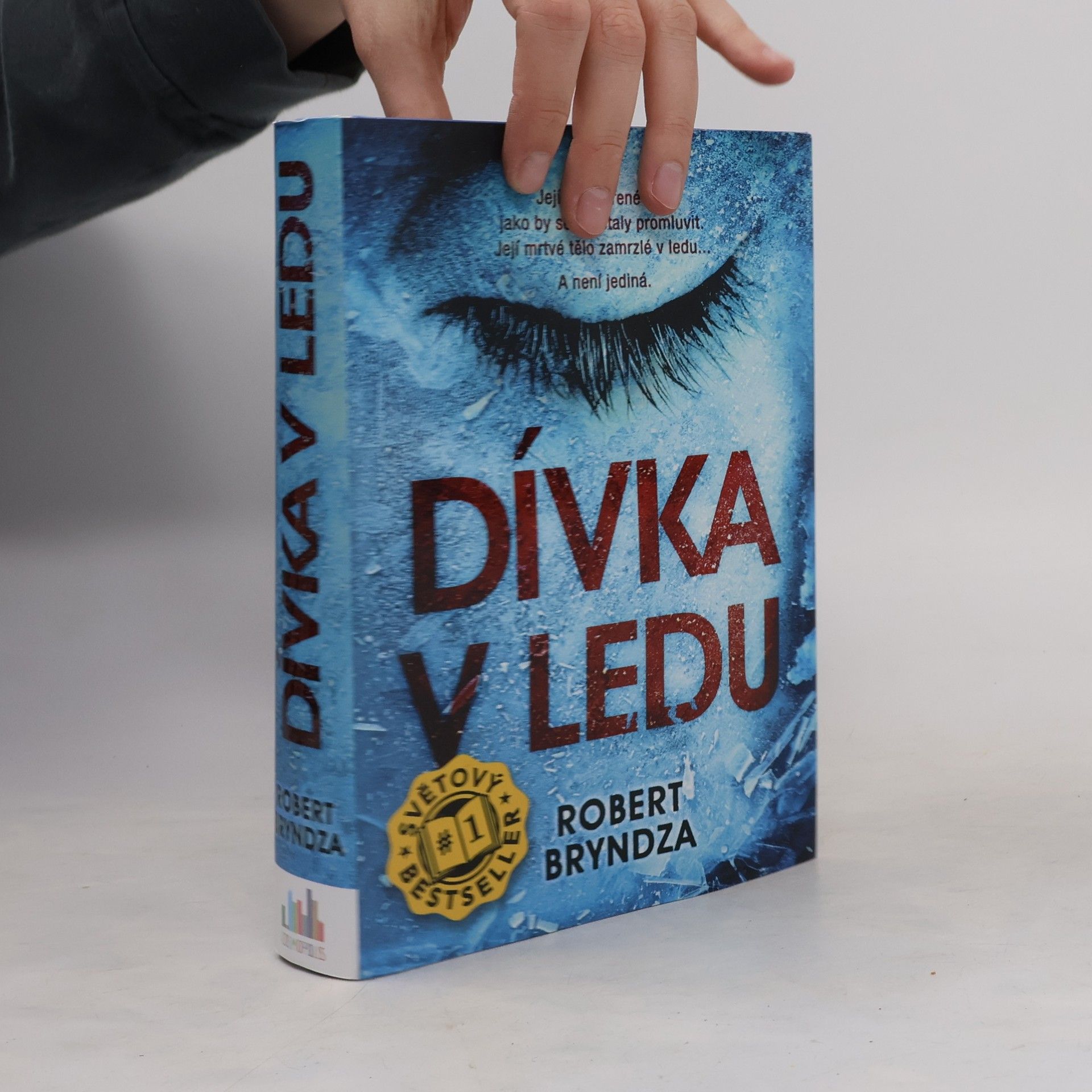 Robert Bryndza Dívka v ledu