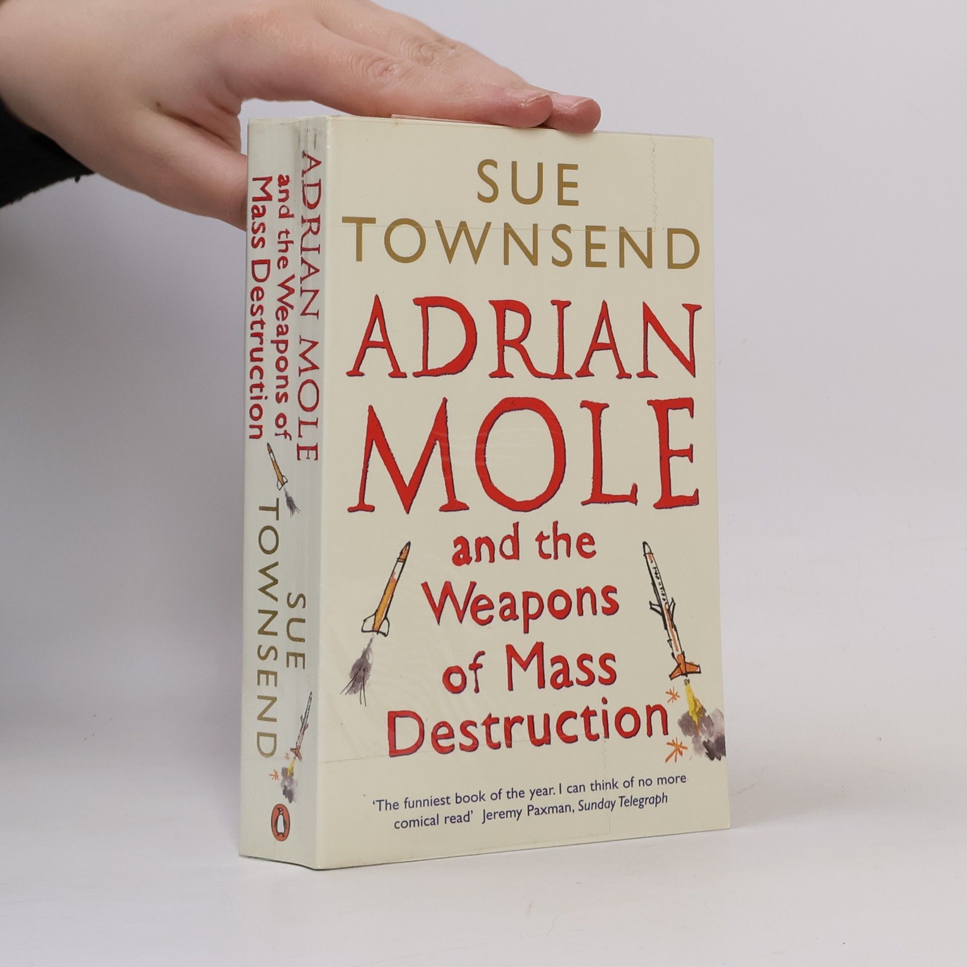 Sue Townsend Adrian Mole and the Weapons of Mass Destruction
