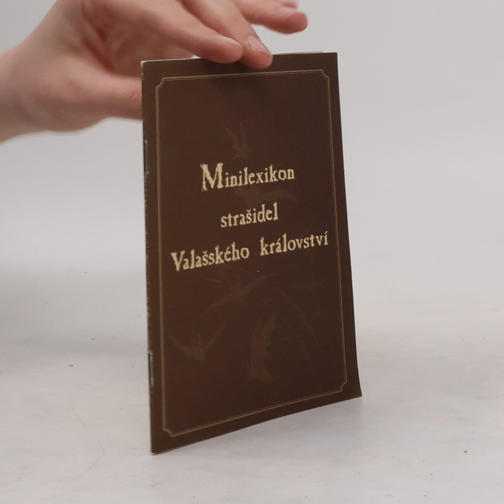 Autorenkollektiv Minilexikon strašidel Valašského království