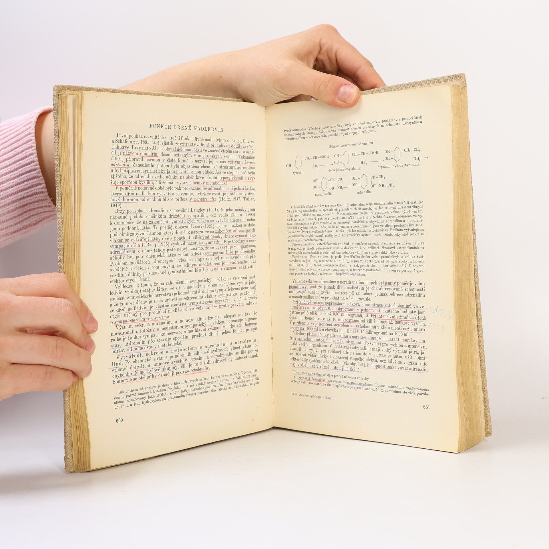 Autorenkollektiv Učebnice fysiologie pro studující lékařství II