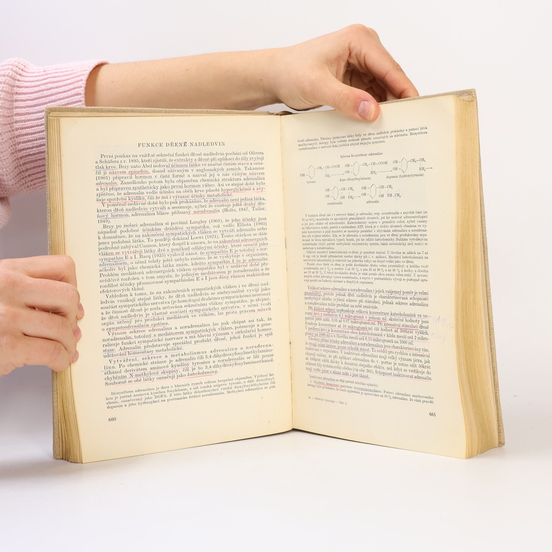 Autorenkollektiv Učebnice fysiologie pro studující lékařství II