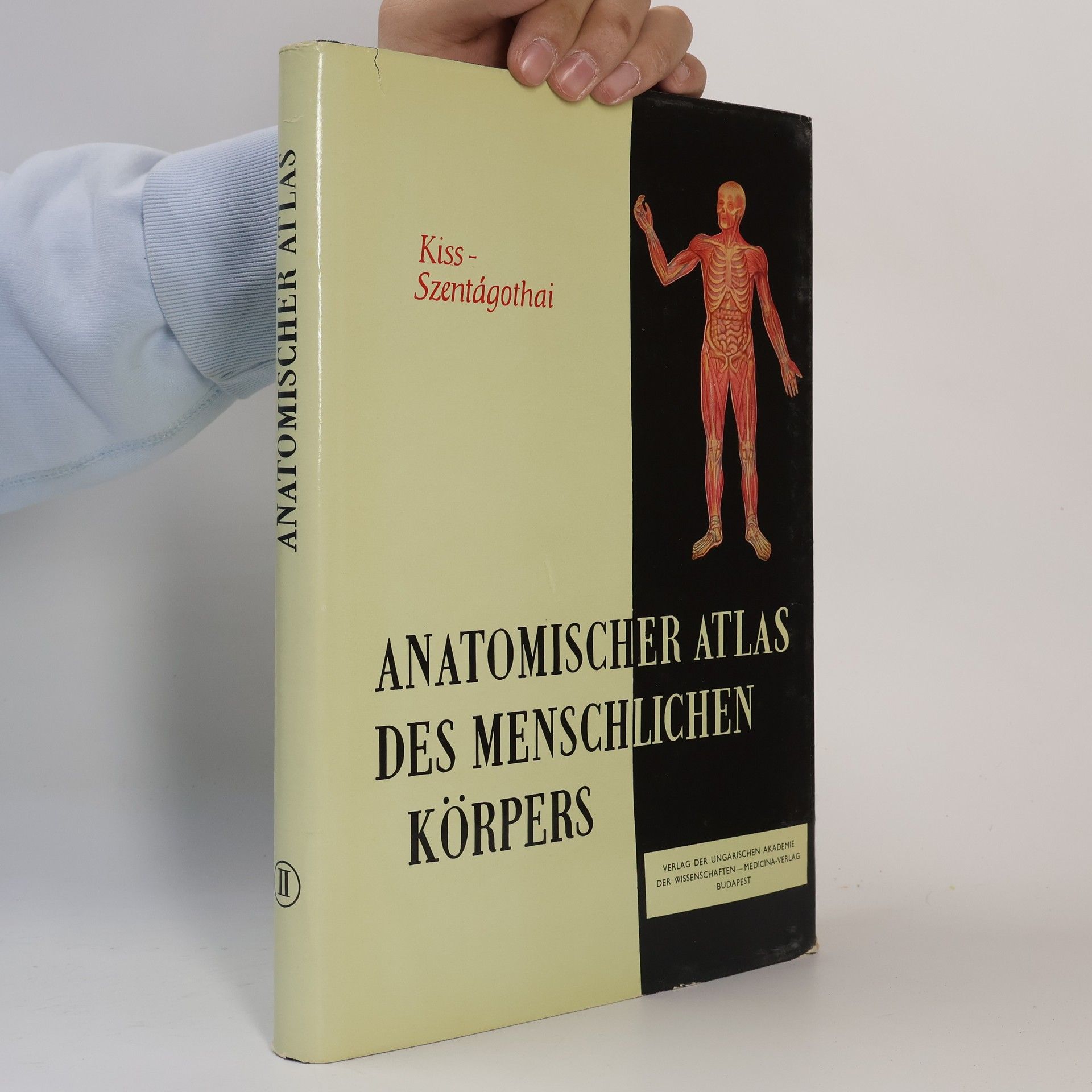 Ferenc Kiss Anatomischer Atlas des Menschlichen Körpers Band II.
