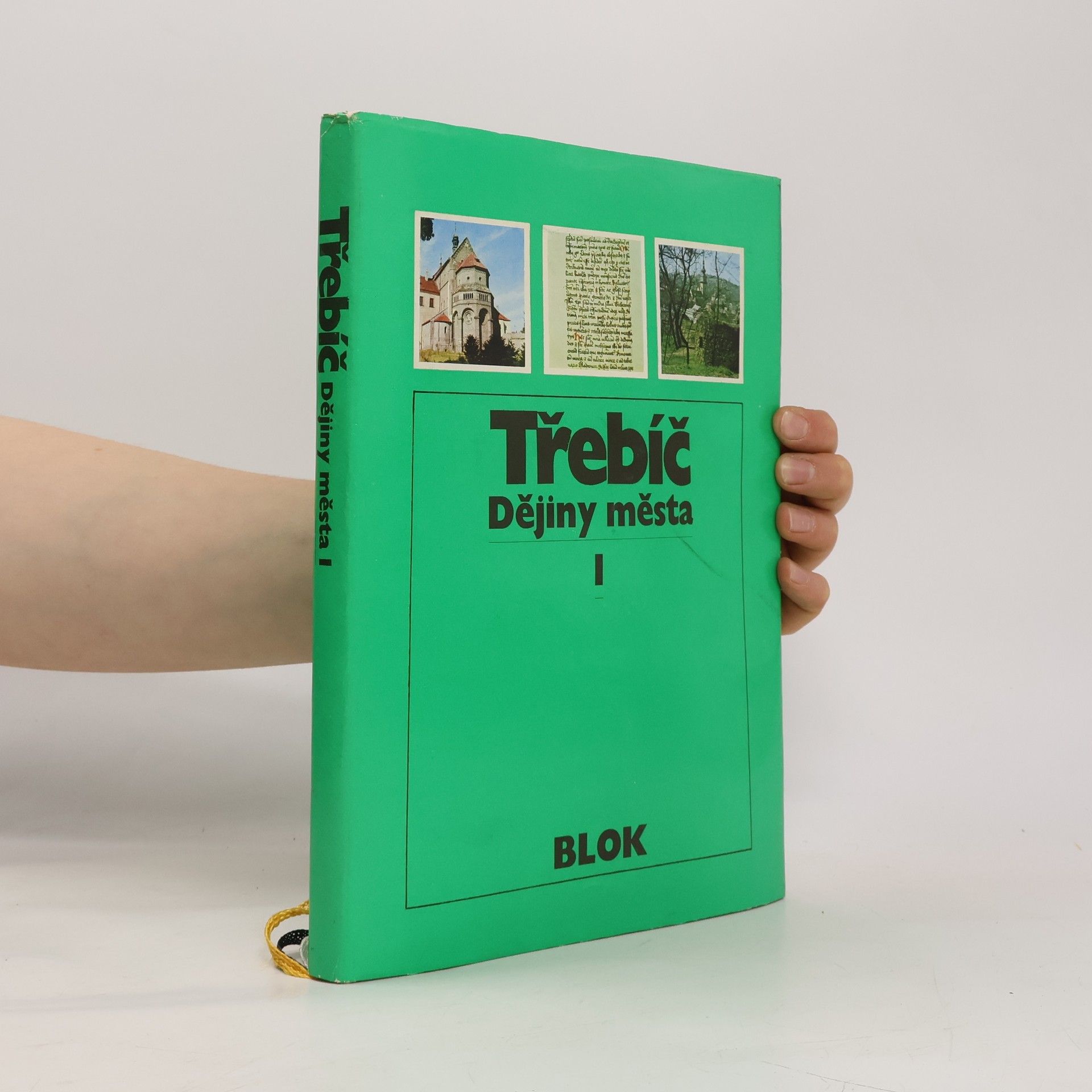Třebíč. Dějiny města I.
