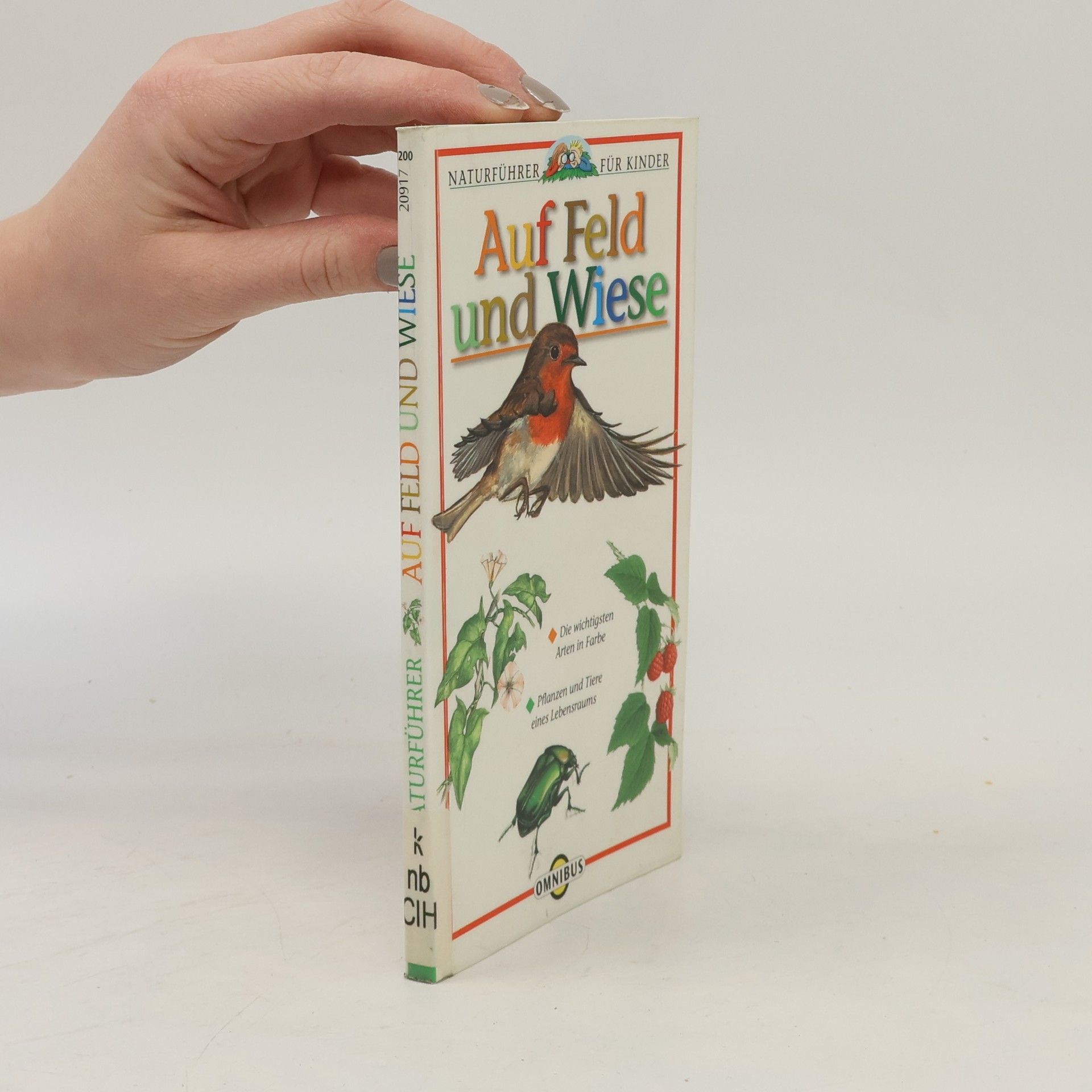 Collectif d'auteurs Auf Feld und Wiese