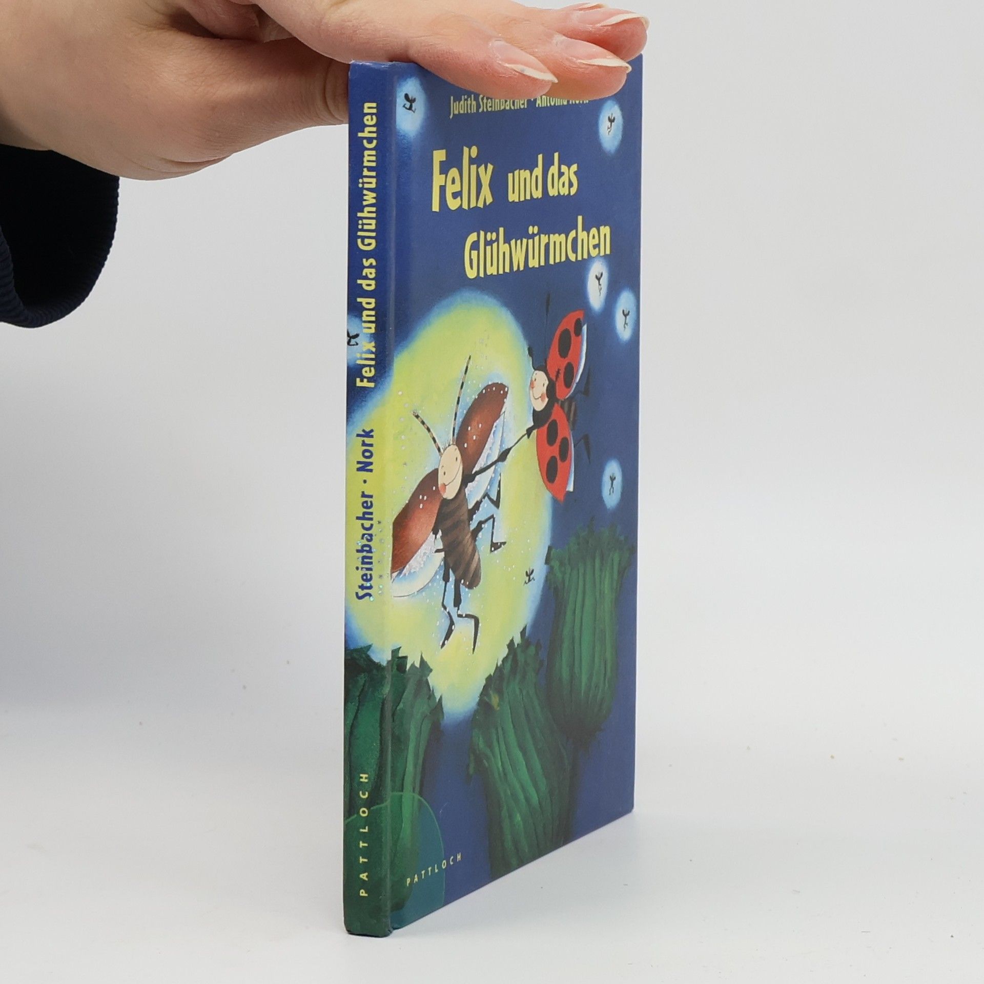 Judith Steinbacher Felix und das Glühwürmchen