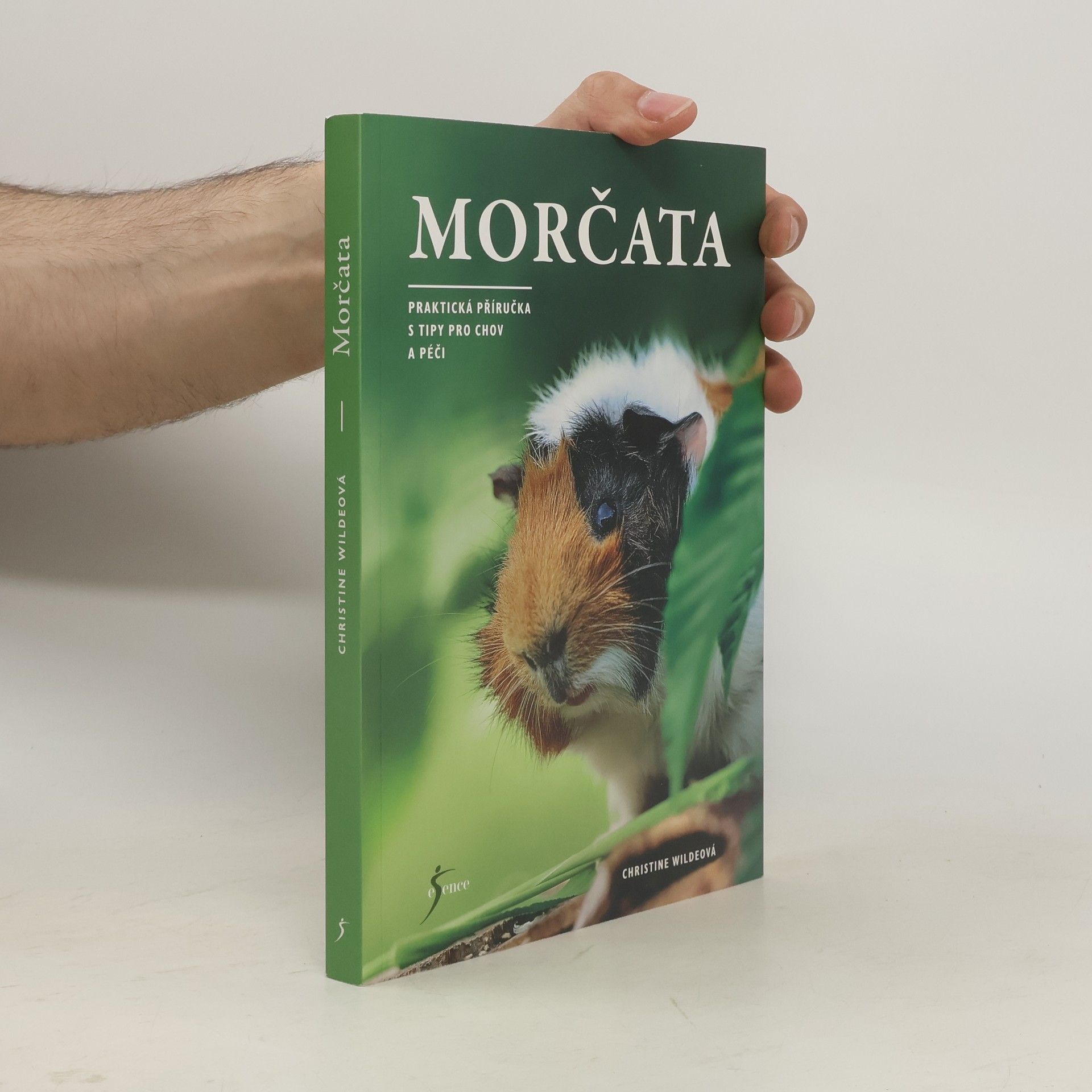 Christine Wilde Morčata - Praktická příručka s tipy pro chov a péči