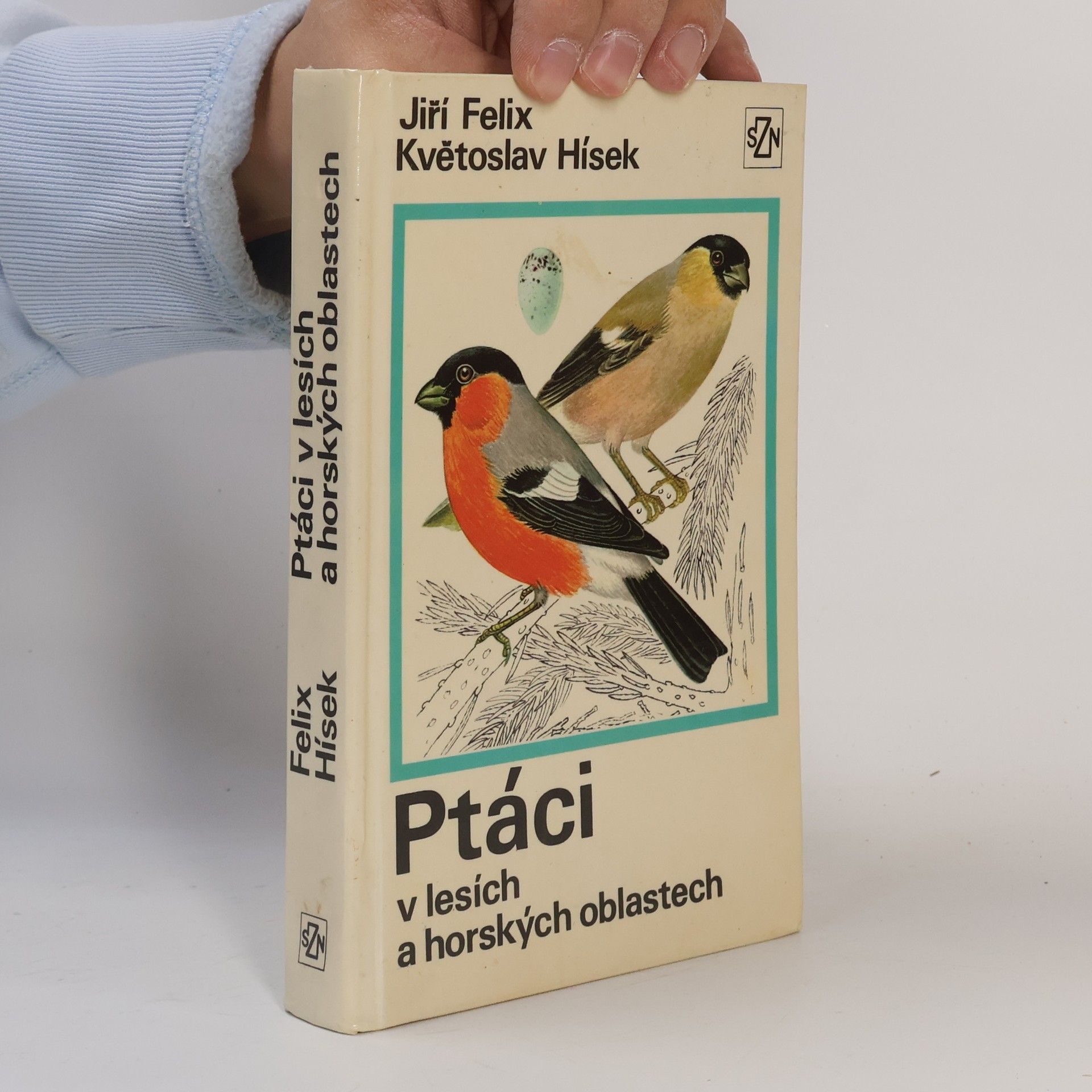 Ptáci v lesích a horských oblastech