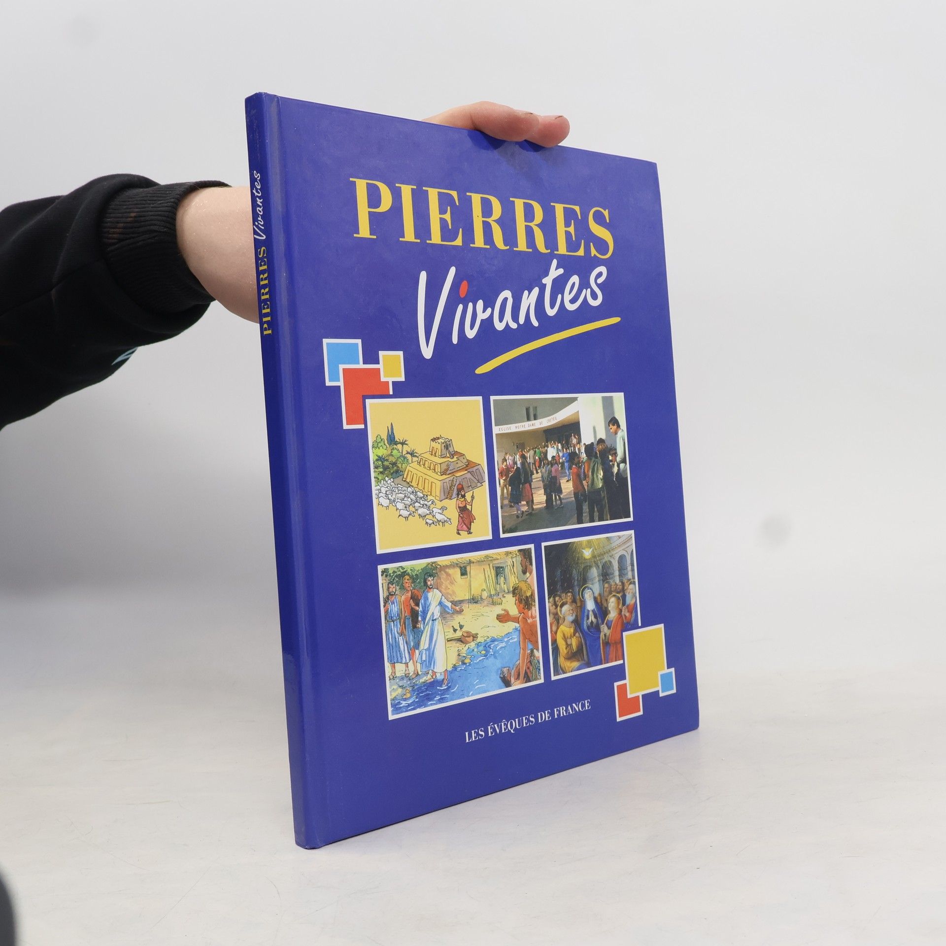 Les Évêques de France Pierres vivantes