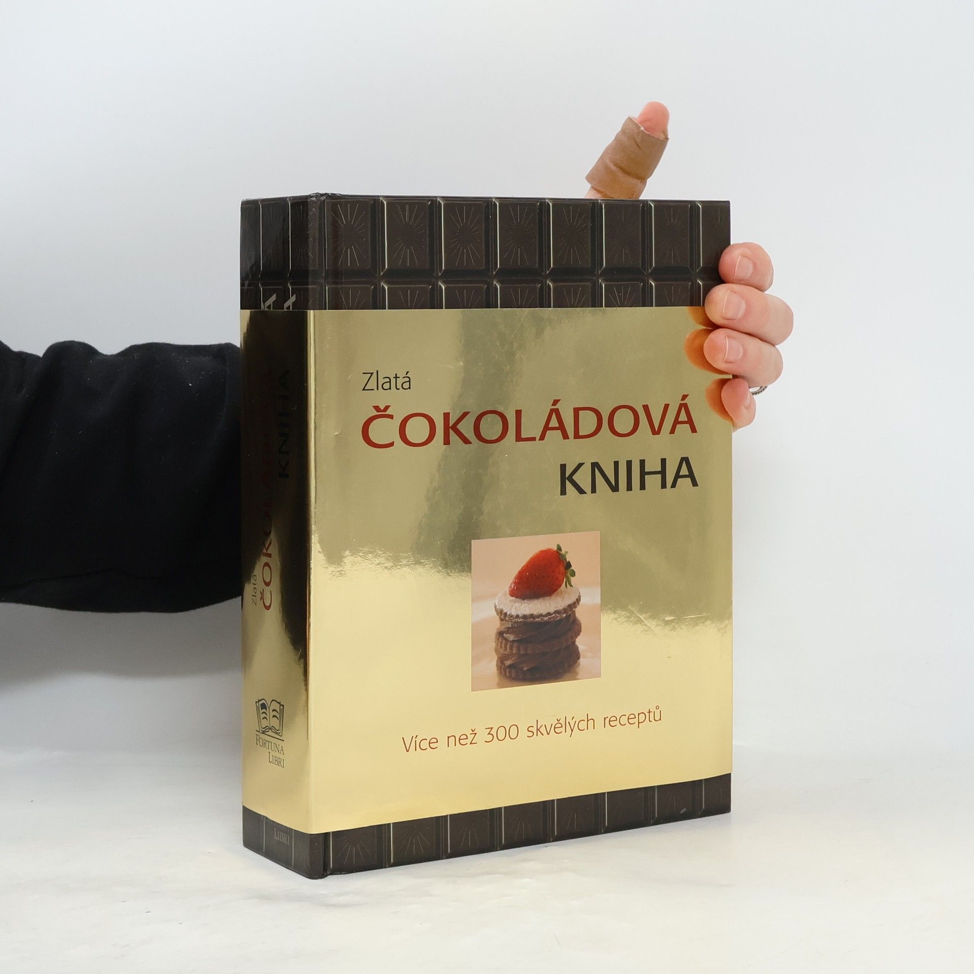Kolektiv autorů Zlatá čokoládová kniha