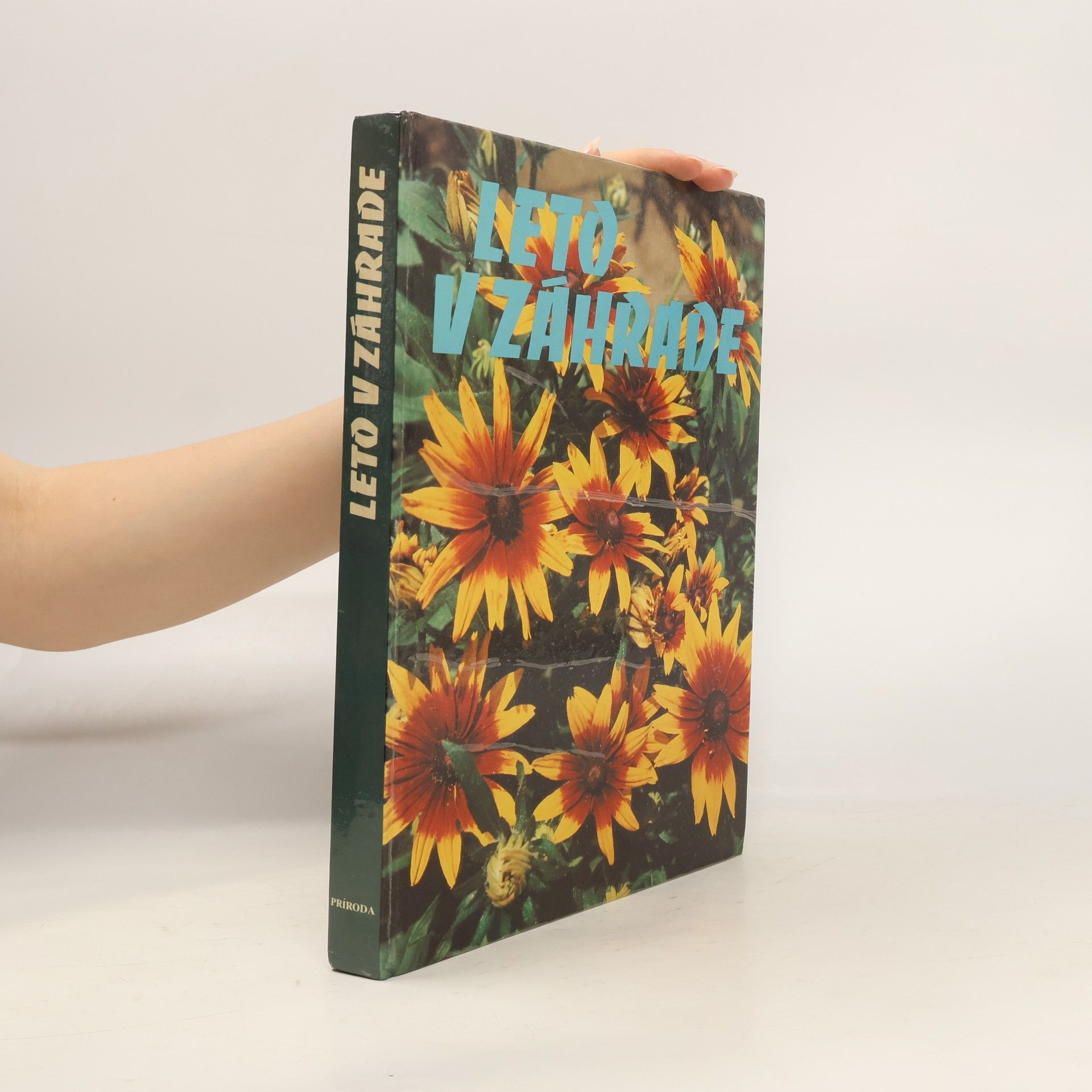 Kolektiv autorů Leto v záhrade
