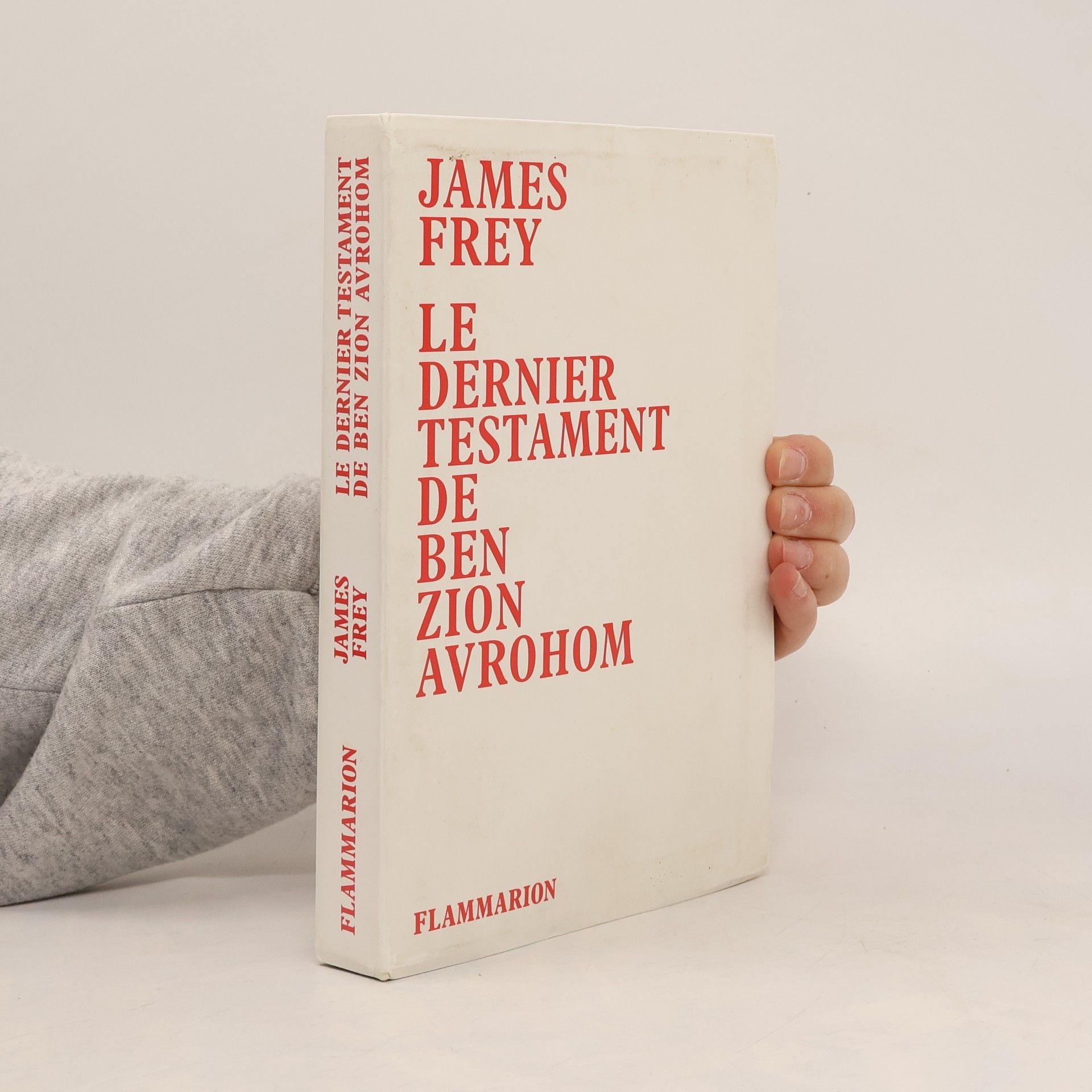 James Frey Le dernier testament de Ben Zion Avrohom (French Edition)
