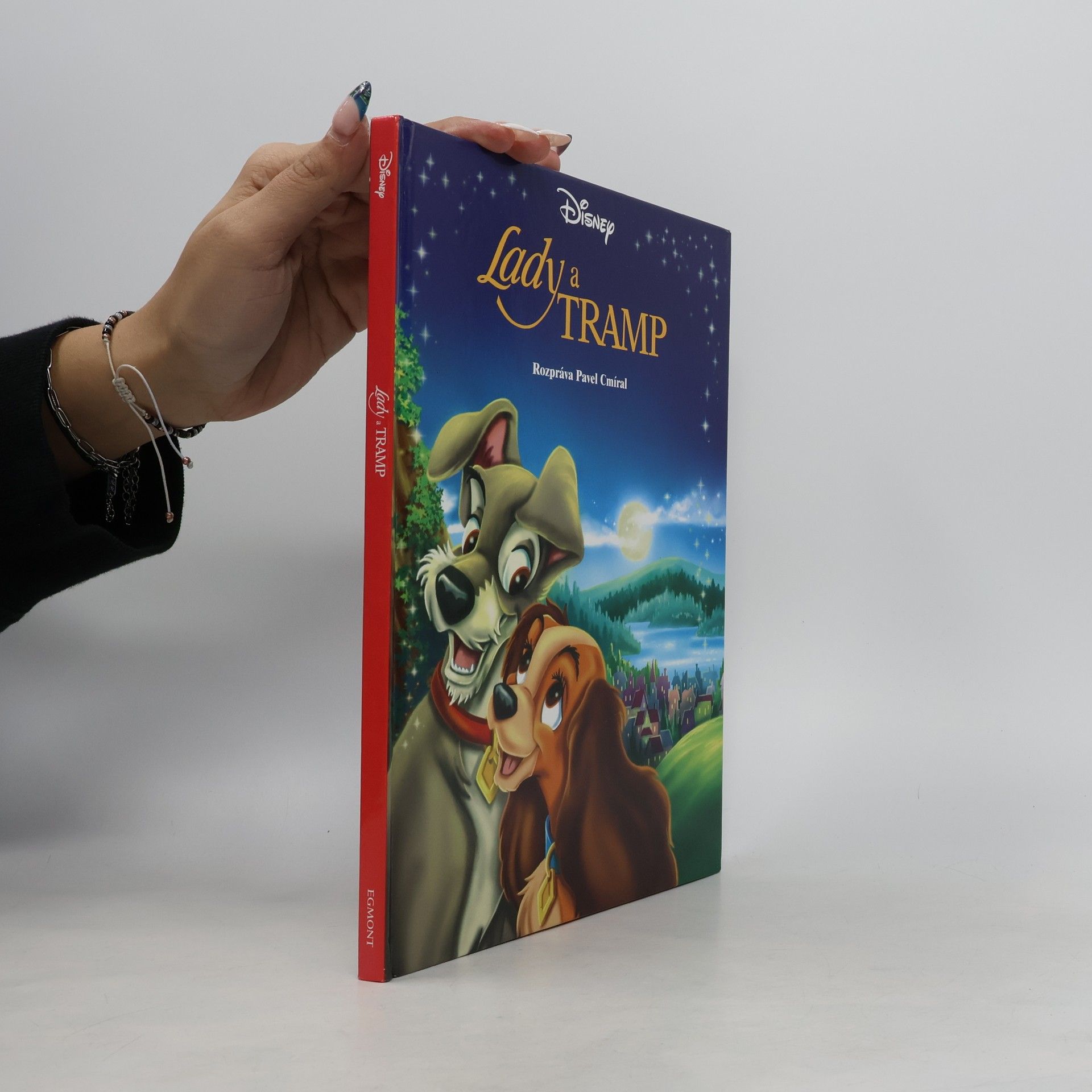 Kolektiv autorů Lady a Tramp