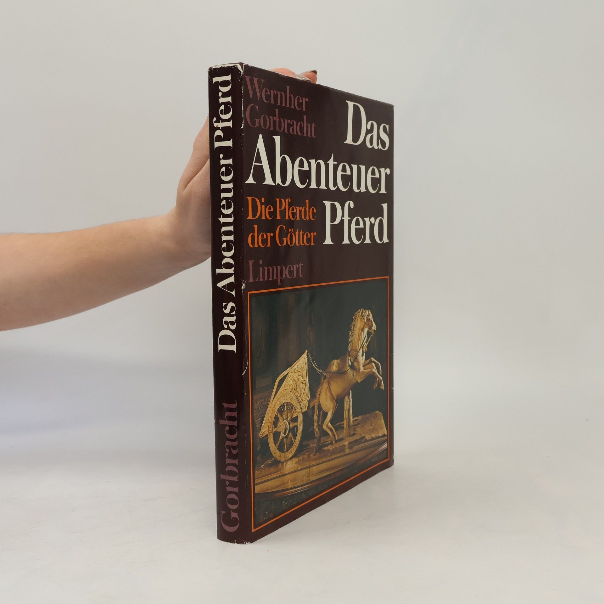 Wernher Gorbracht Das Abenteuer Pferd
