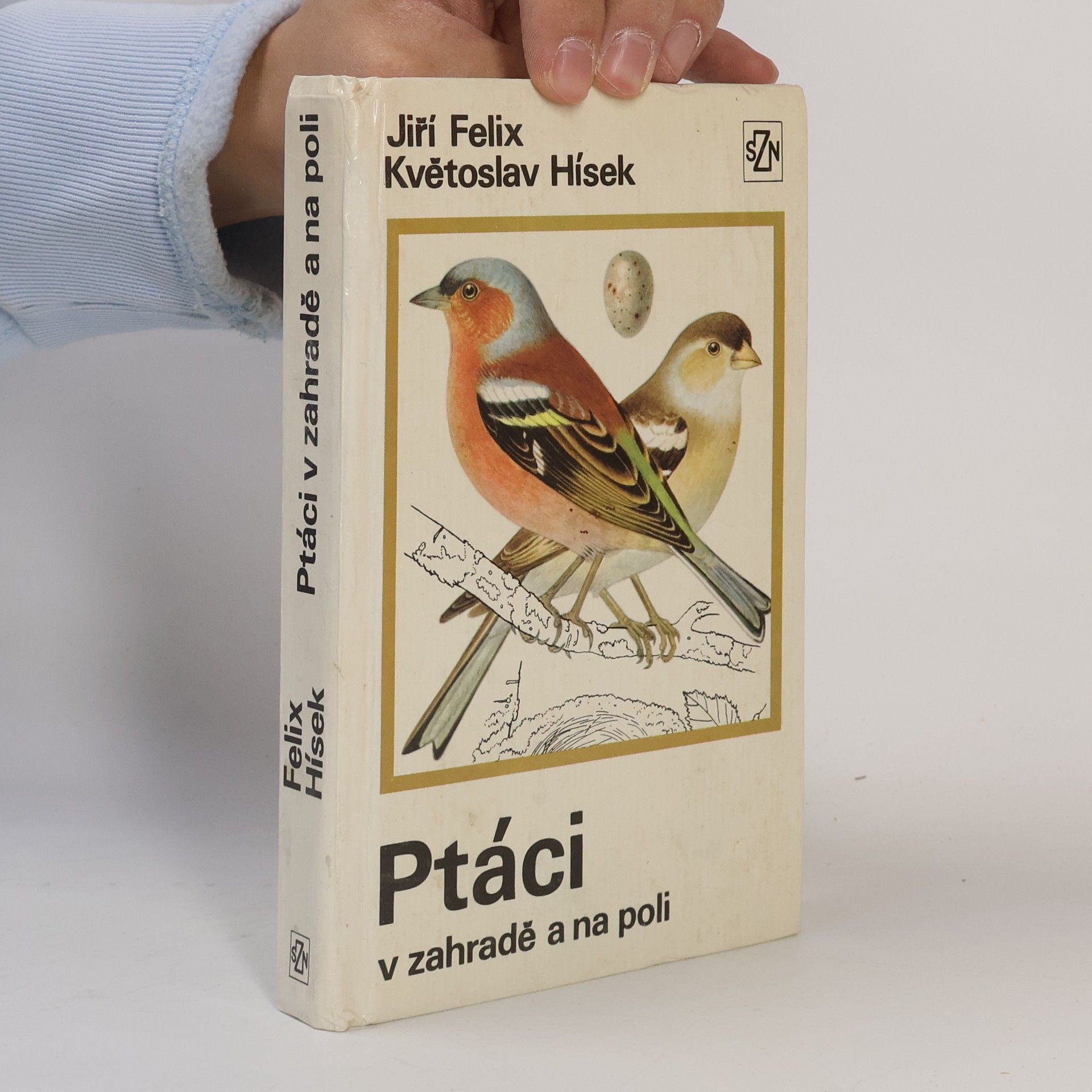 Ptáci v zahradě a na poli