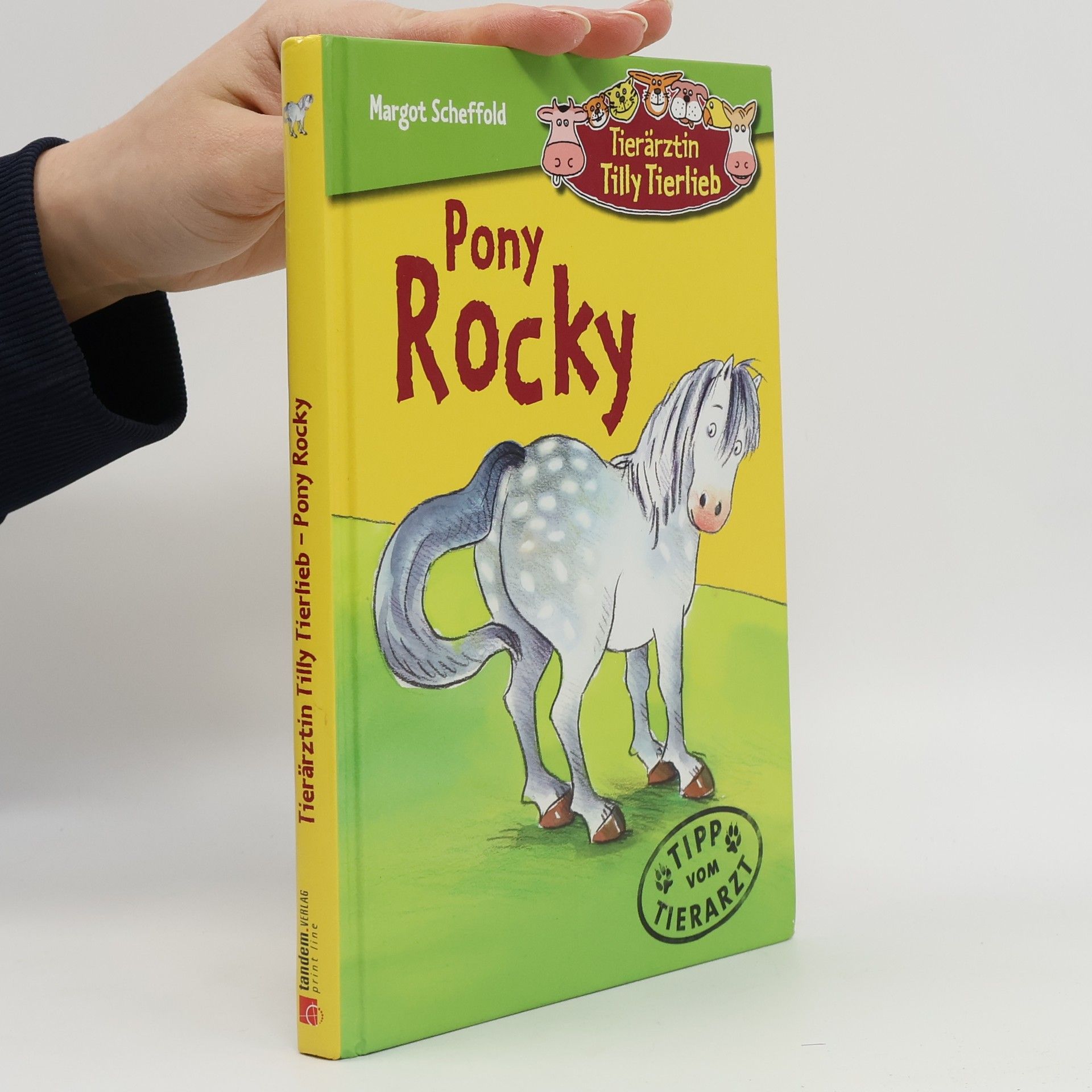 Pony Rocky