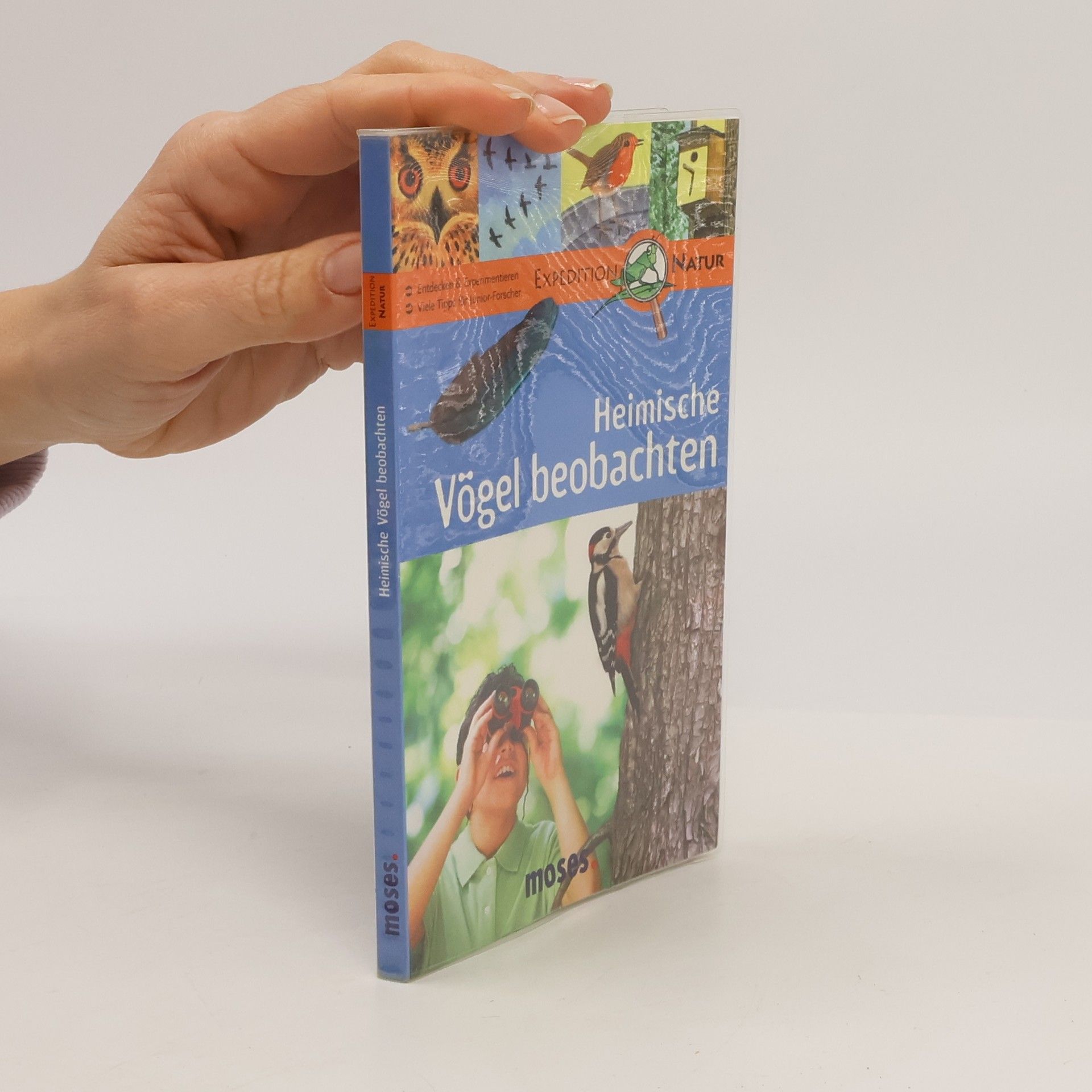 Bärbel Oftring Heimische Vögel beobachten