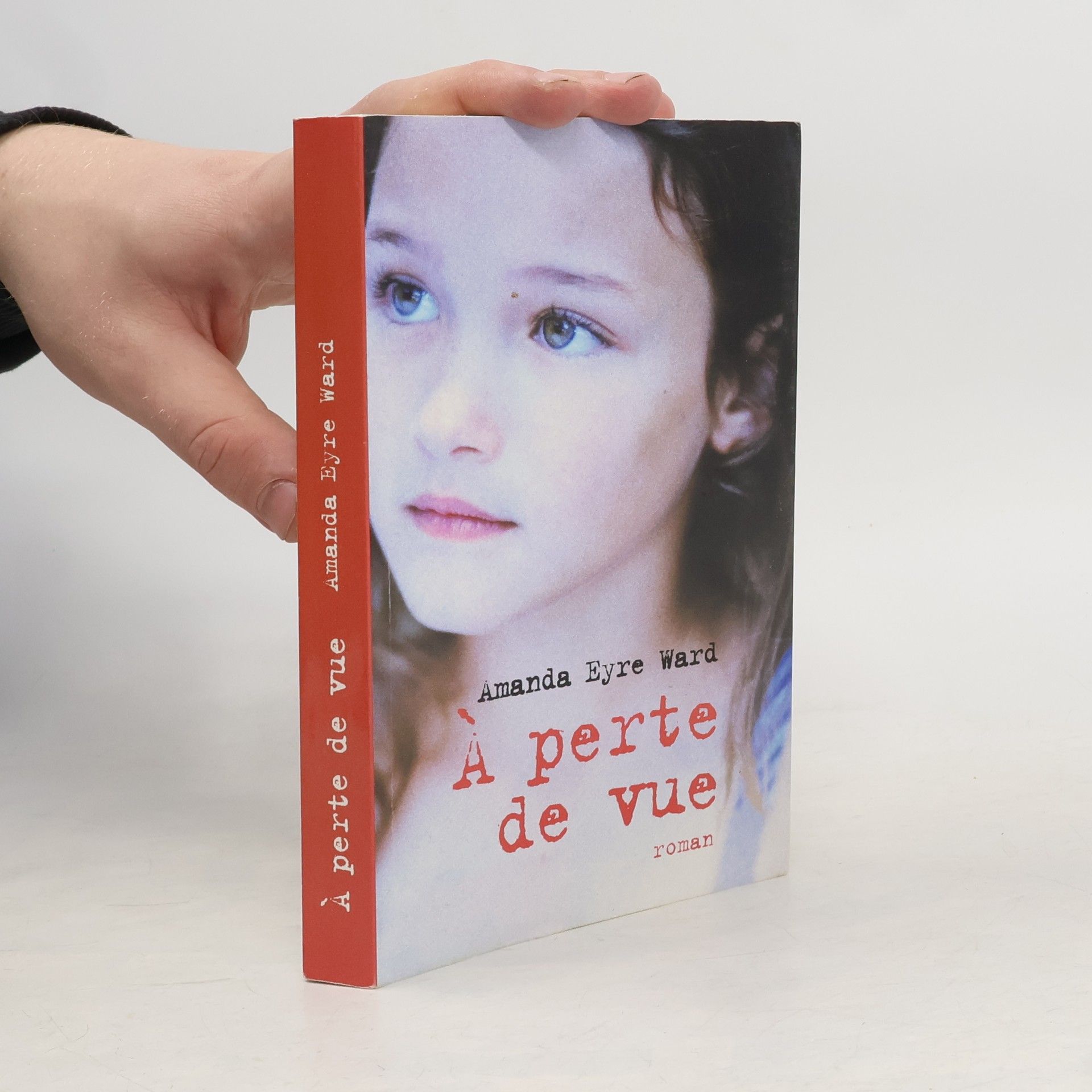 Amanda Eyre Ward A perte de vue