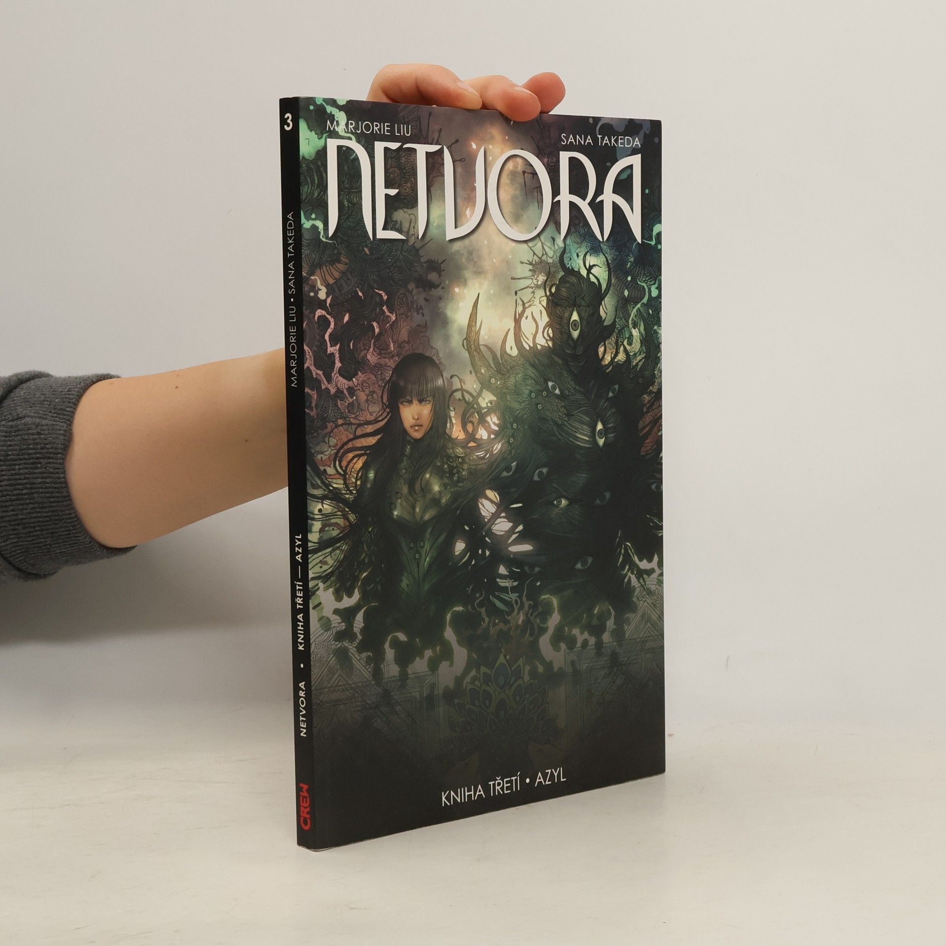 Marjorie Liu Netvora. Azyl. Kniha 3.