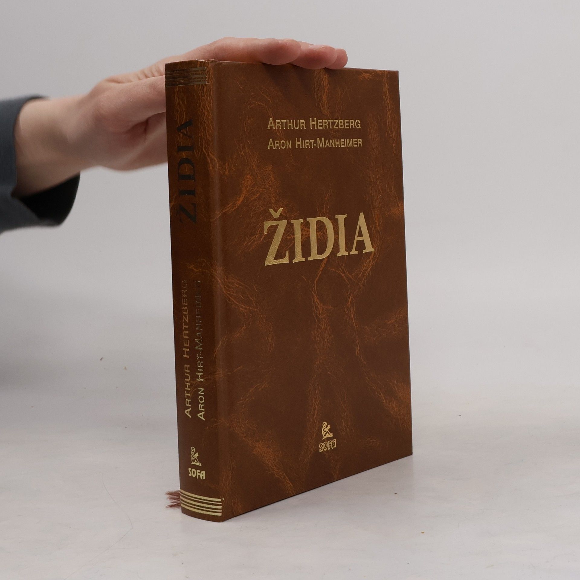 Arthur Hertzberg Židia: povaha a charakter Židovského národa