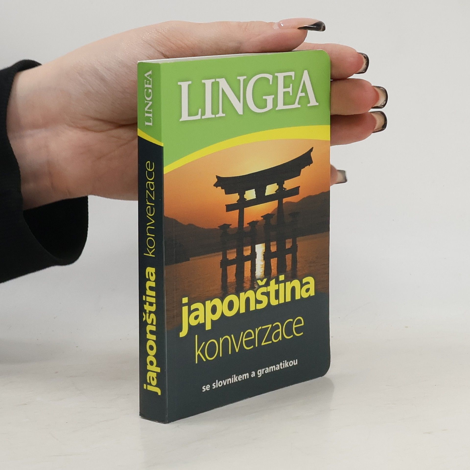 Autorenkollektiv Japonština: Konverzace