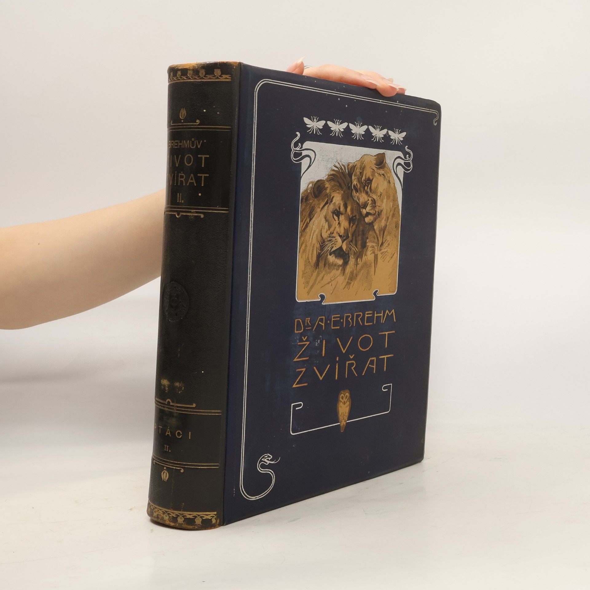 Alfred Edmund Brehm Brehmův Život zvířat II. Ptáci