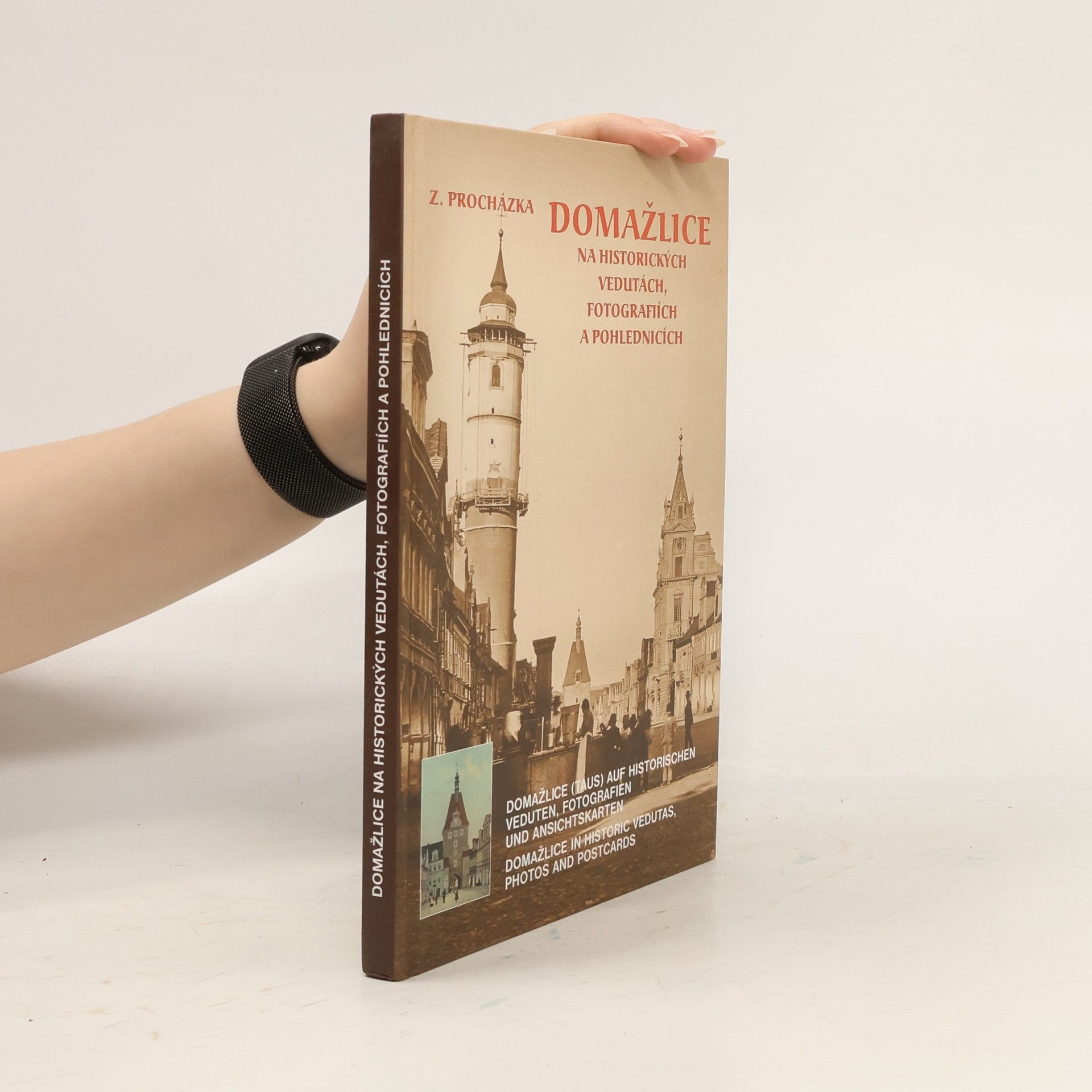 Zdeněk Procházka Domažlice na historických vedutách, fotografiích a pohlednicích