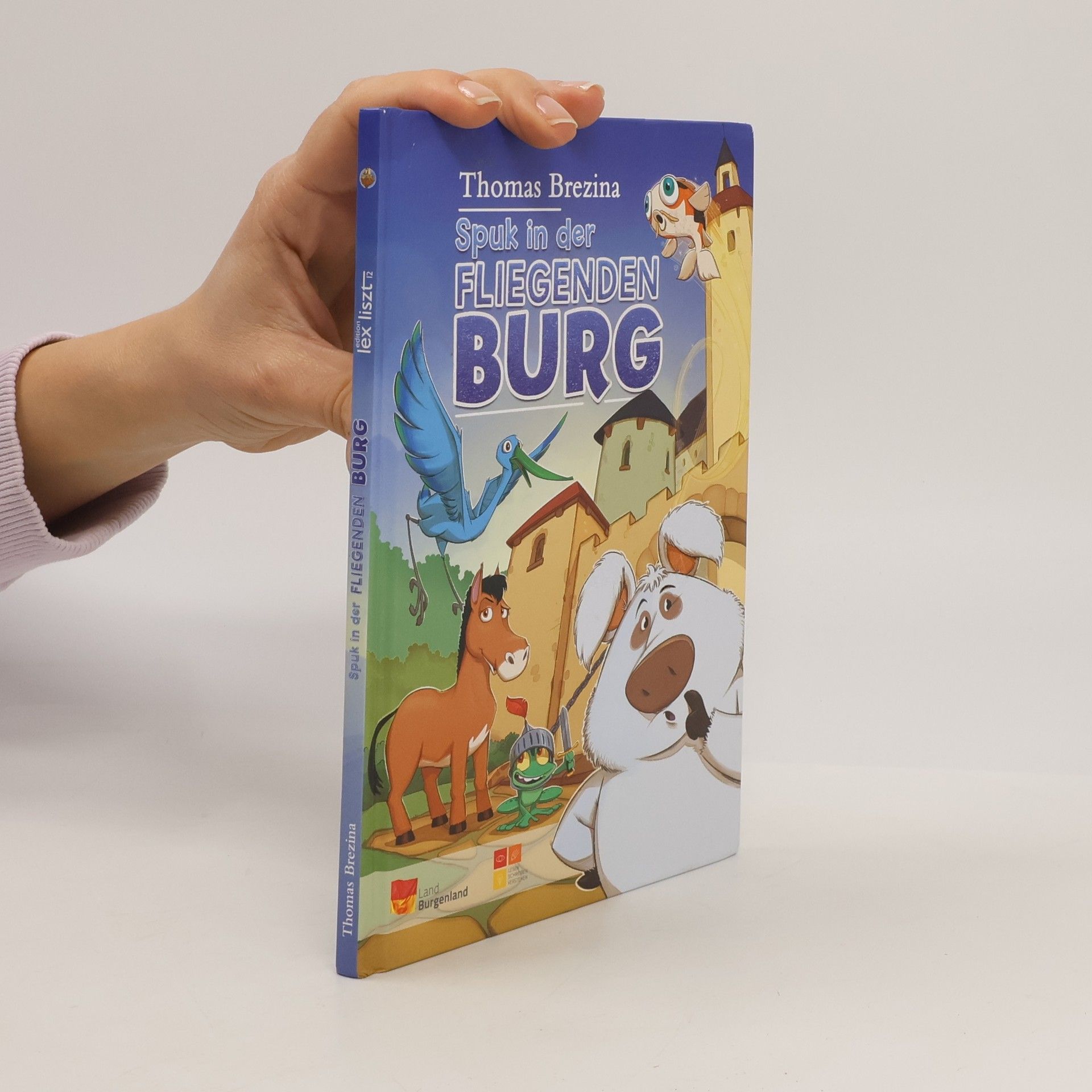 Thomas Brezina Spuk in der Fliegenden Burg