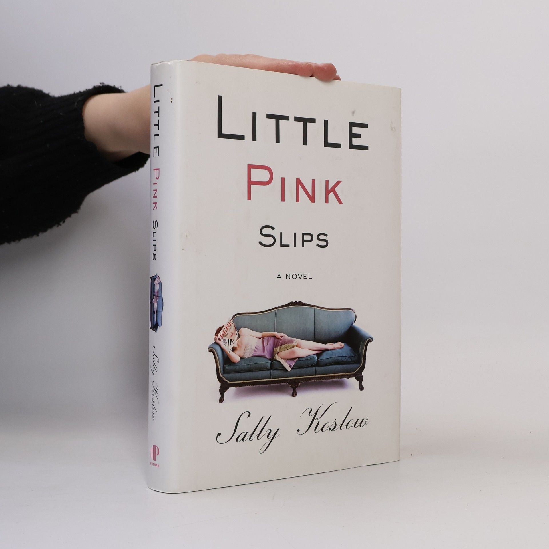 Sally Koslow Little Pink Slips
