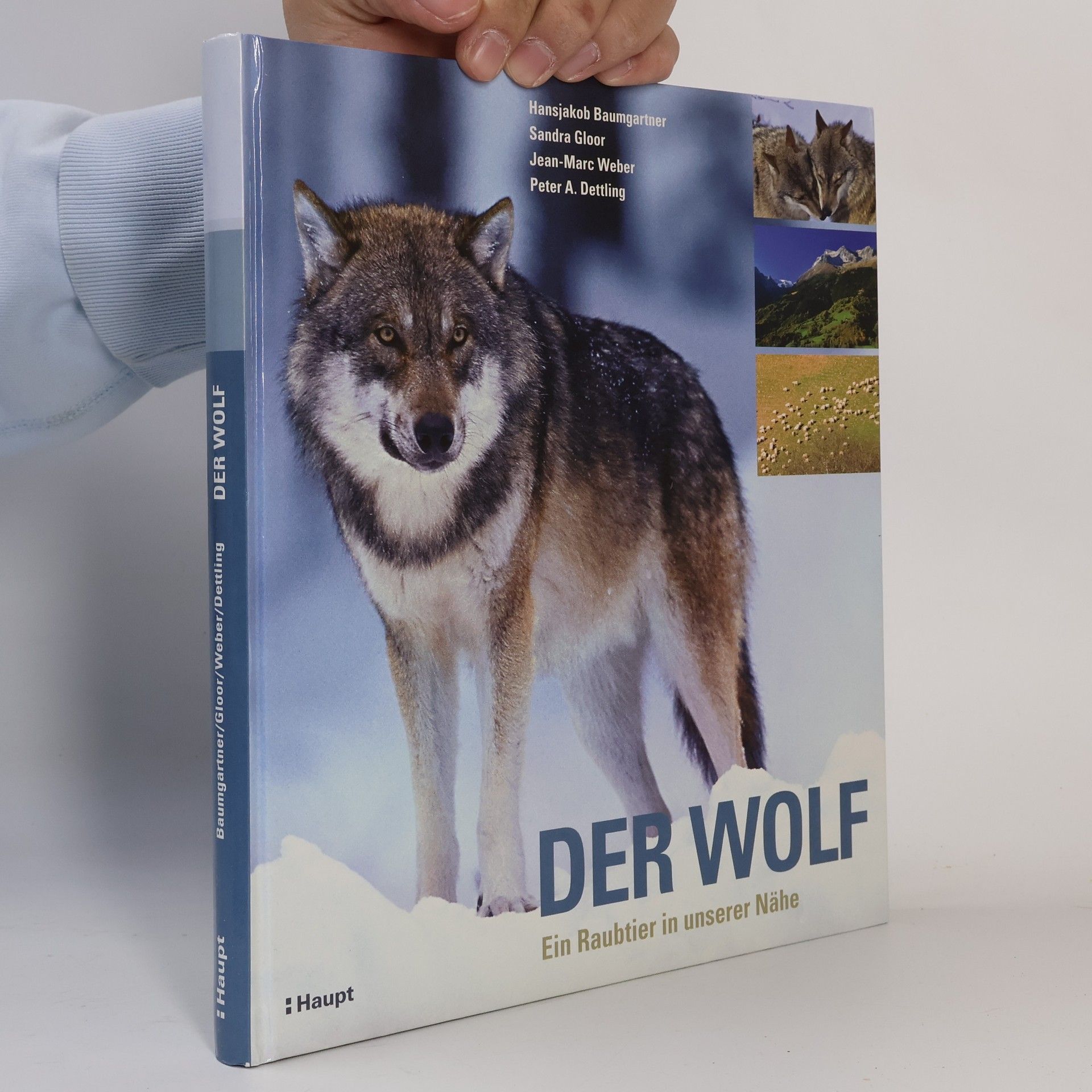 Hansjakob Baumgartner Der Wolf