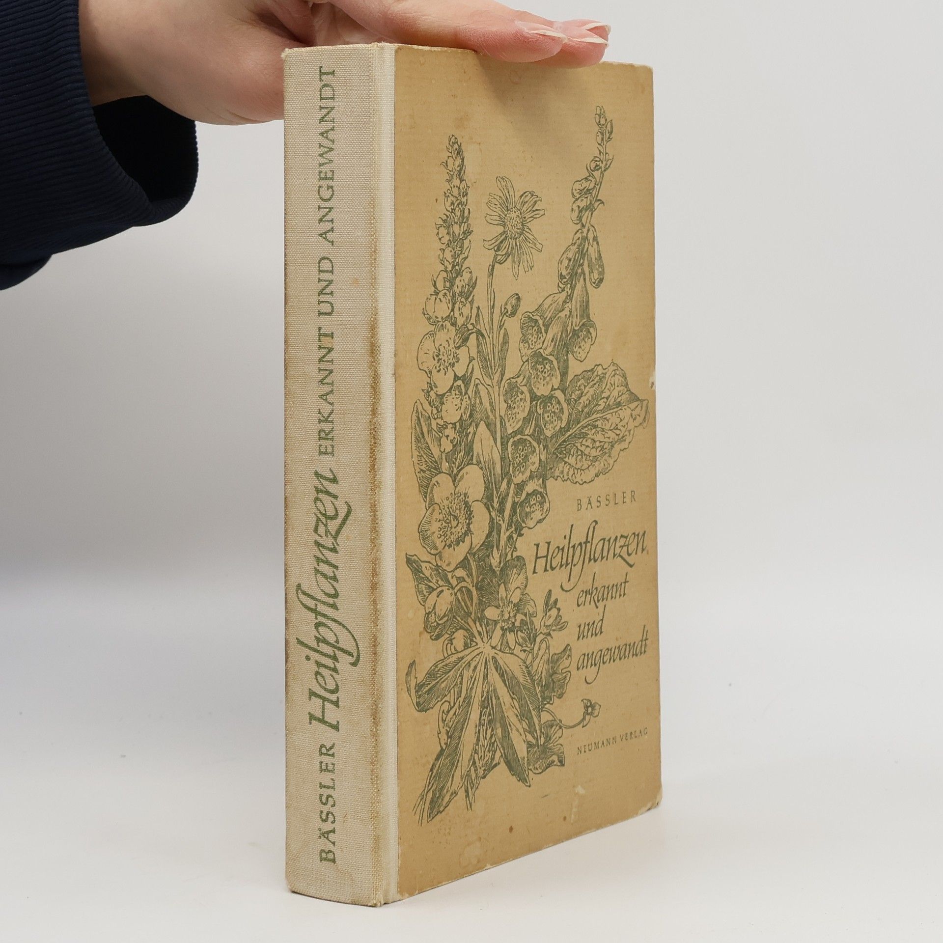 Heilpflanzen erkannt und angewandt