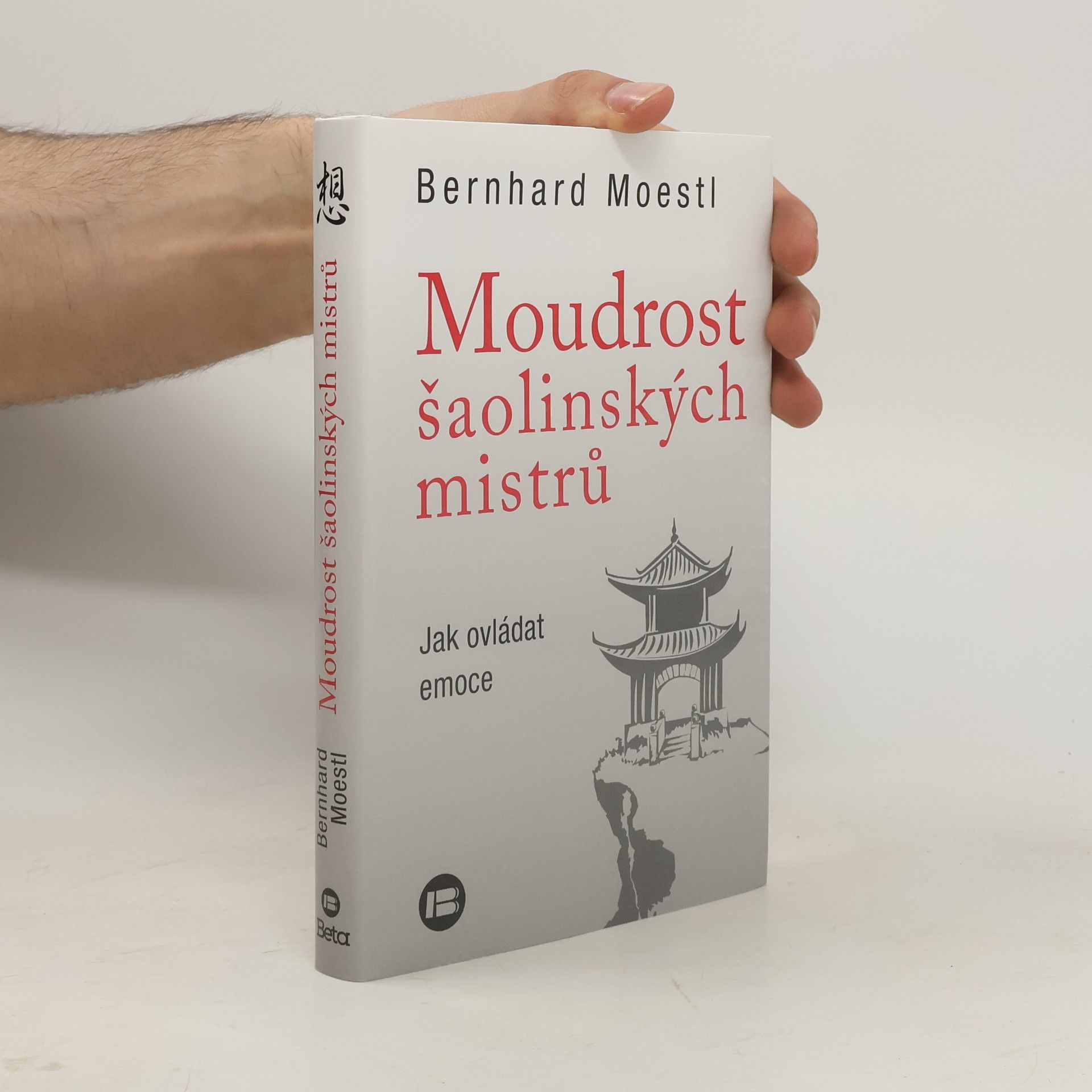 Bernhard Moestl Moudrost šaolinských mistrů