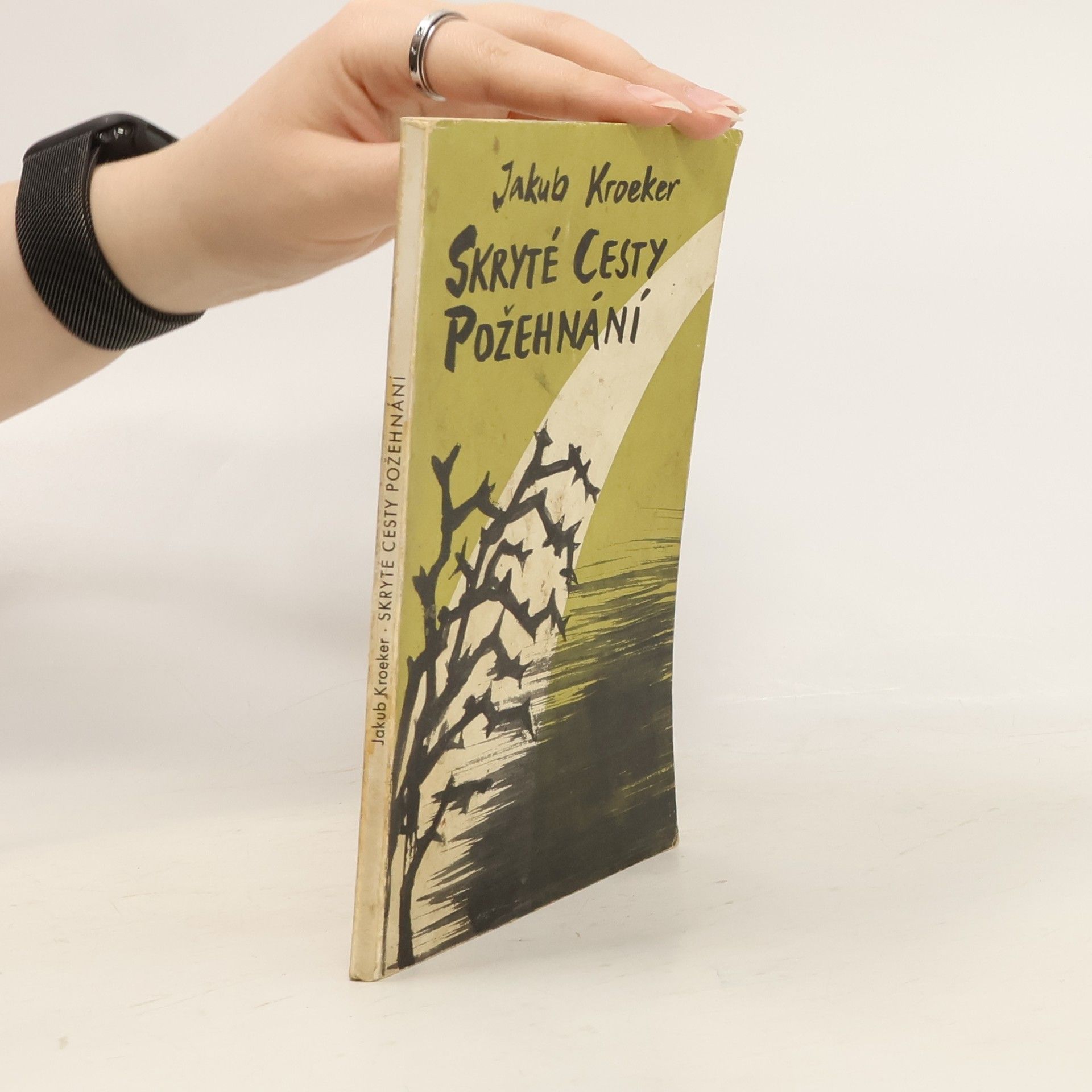 Jakub Kroeker Skryté cesty požehnání