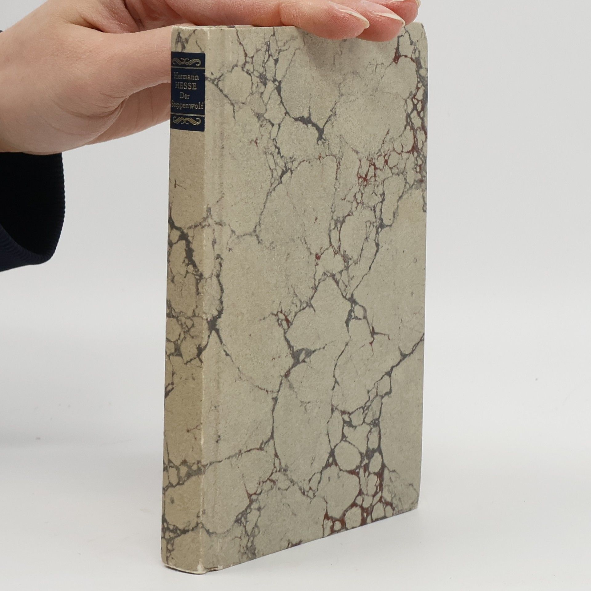 Hermann Hesse Der Steppenwolf