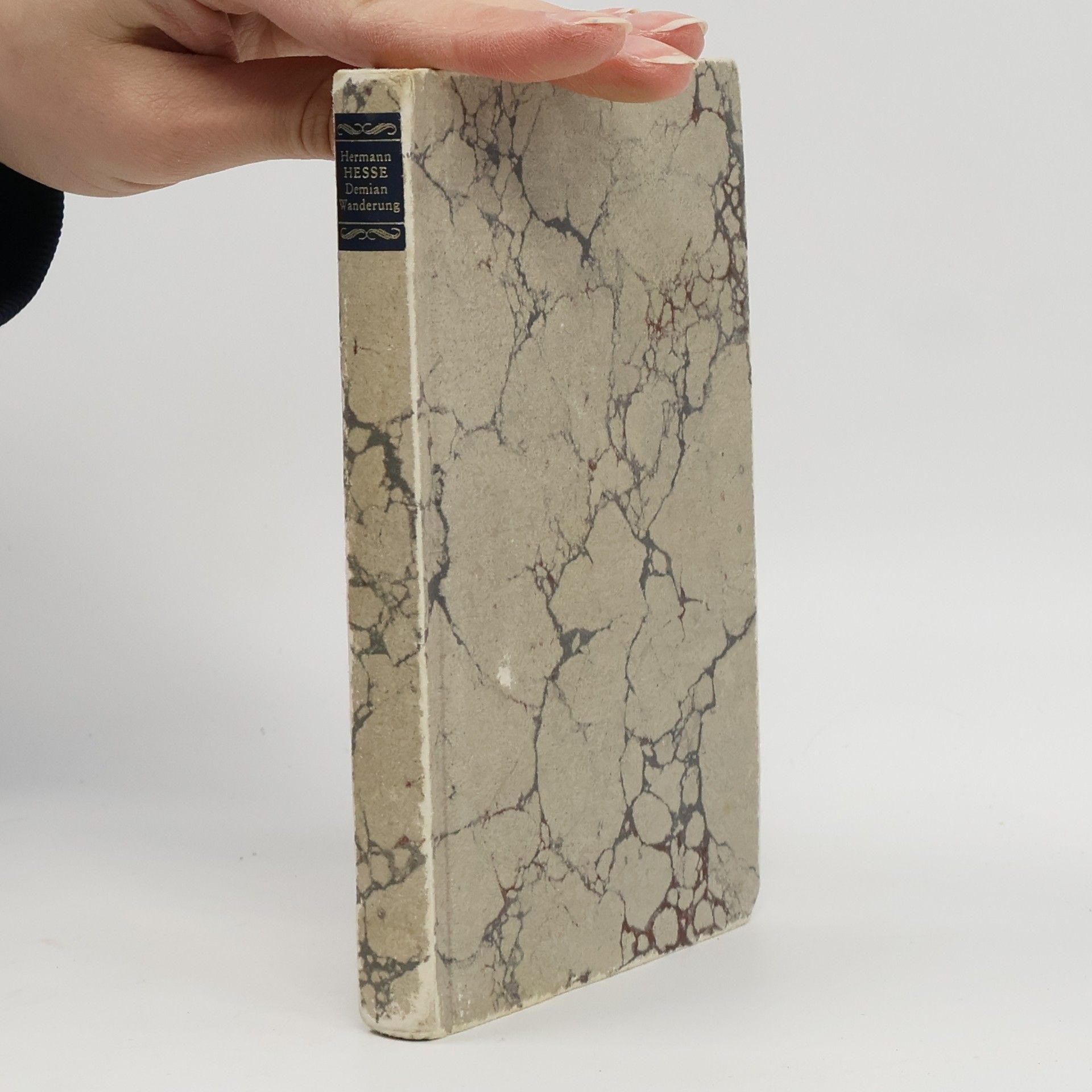 Hermann Hesse Demian Wanderung