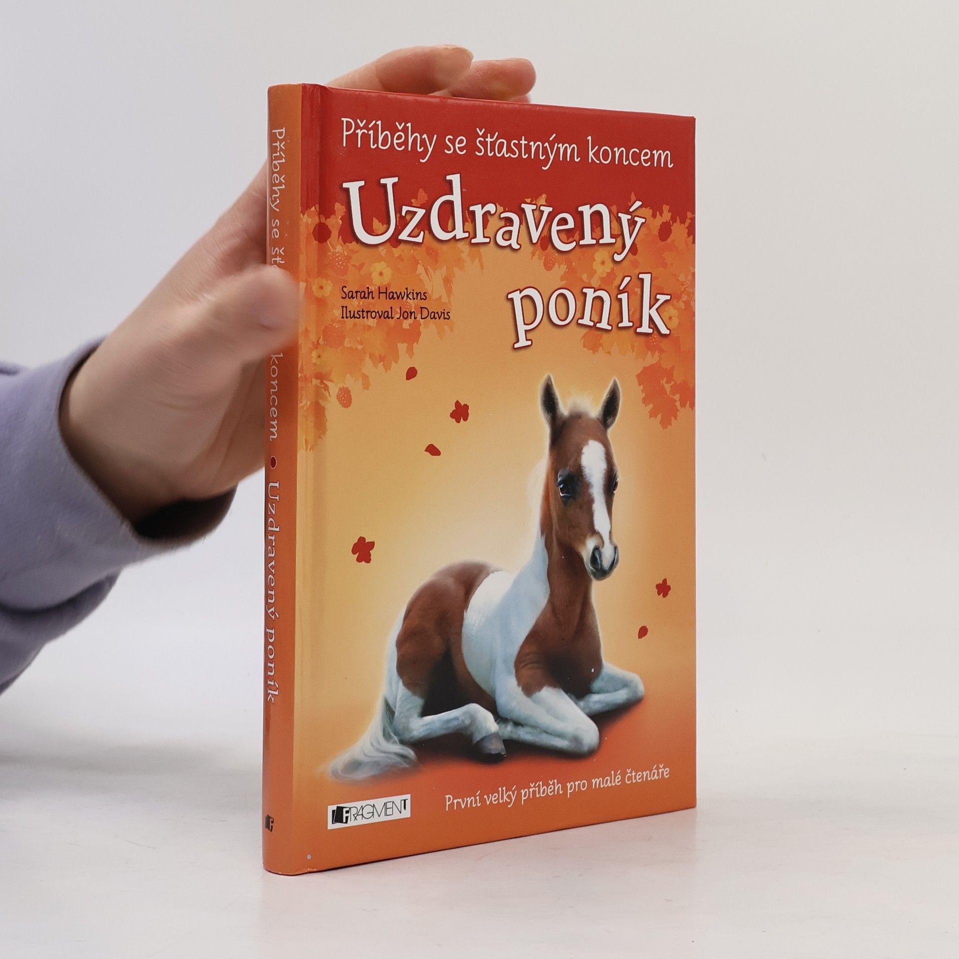 Sarah Hawkins Uzdravený poník