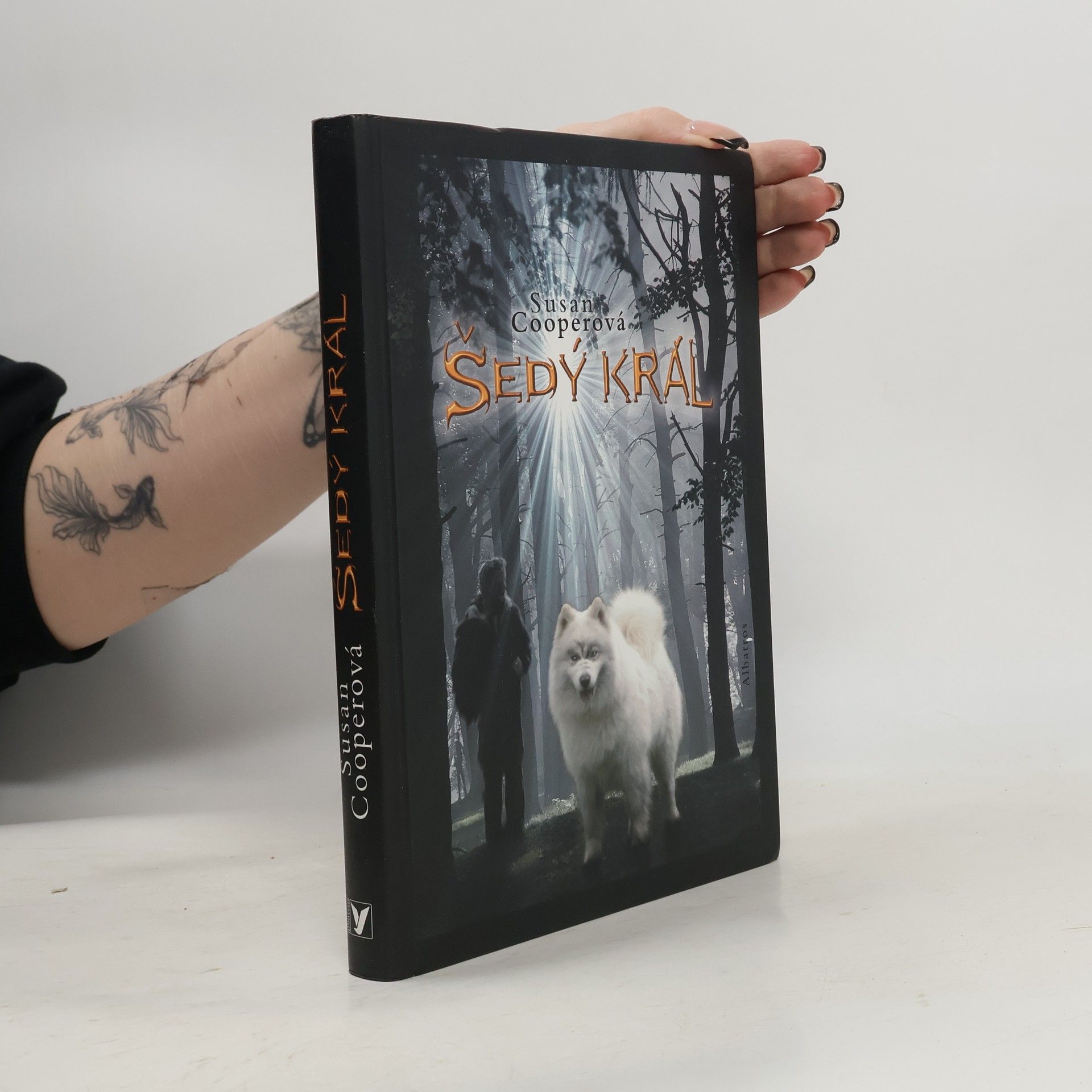 Susan Cooper Šedý král. Probuzení Tmy. Díl 3.