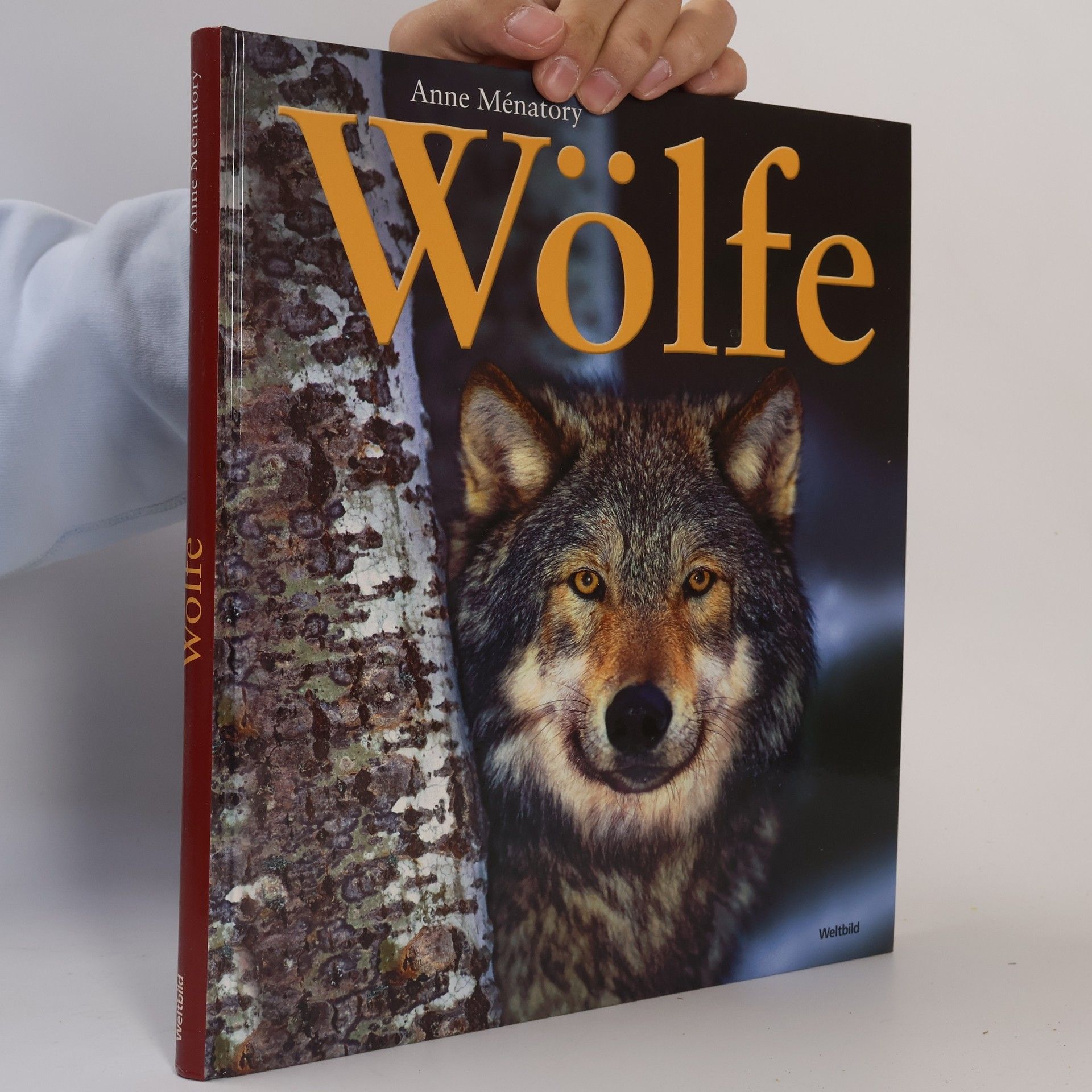 Anne Ménatory Wölfe