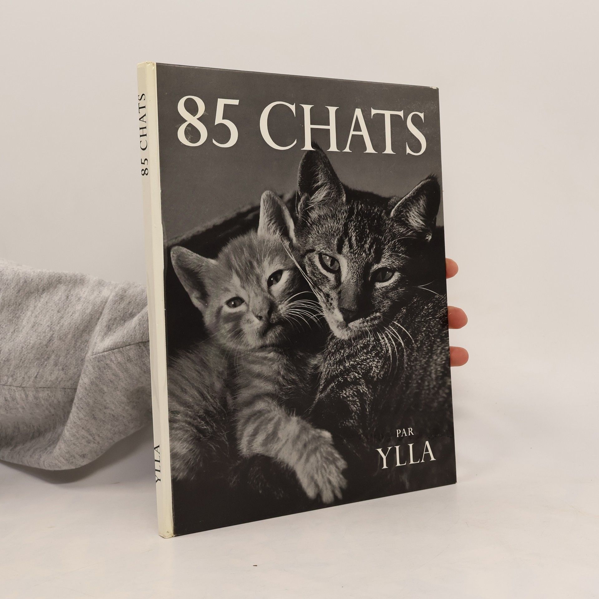 Autorenkollektiv 85 Chats