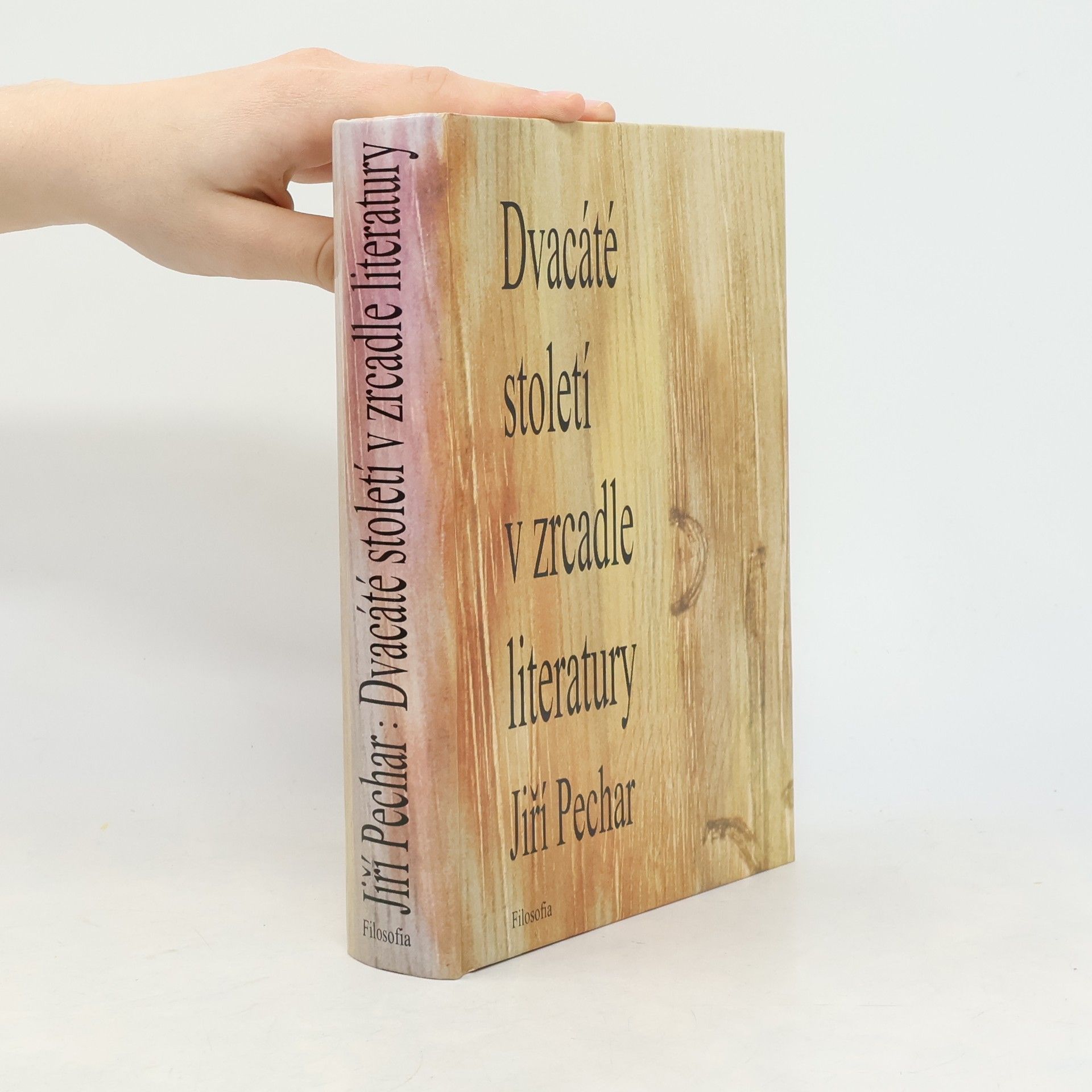 Jiří Pechar Dvacáté století v zrcadle literatury