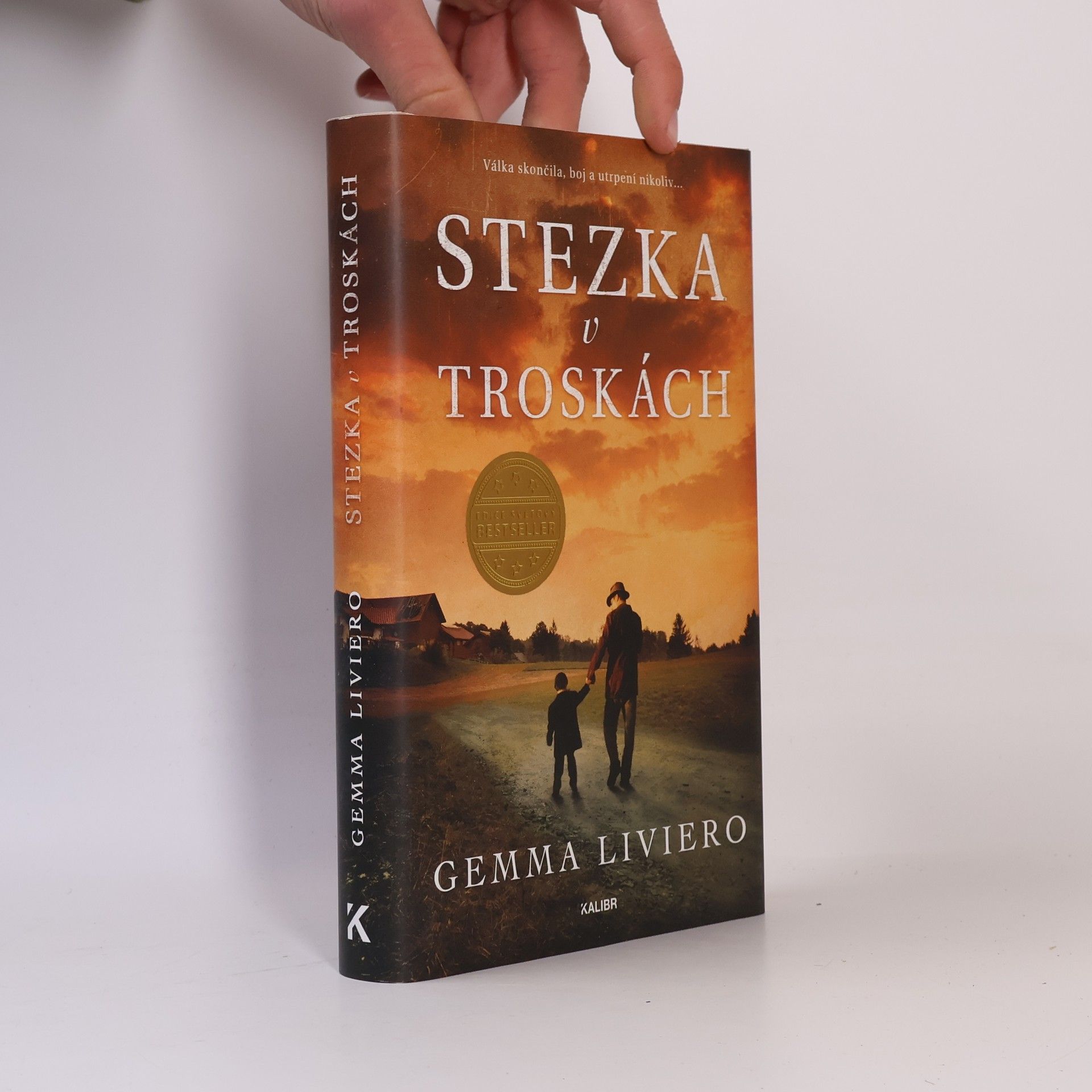 Stezka v troskách