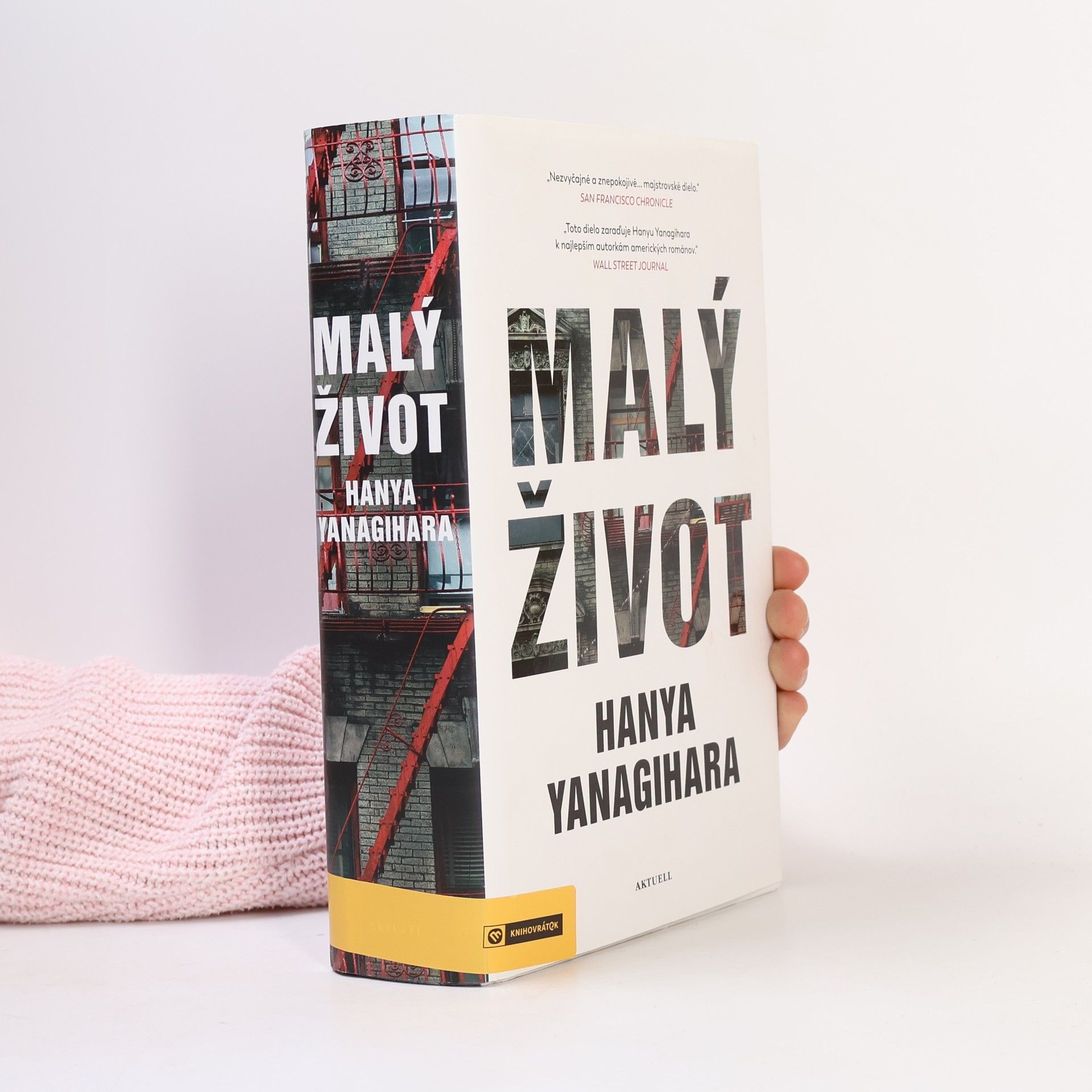 Hanya Yanagihara Malý život