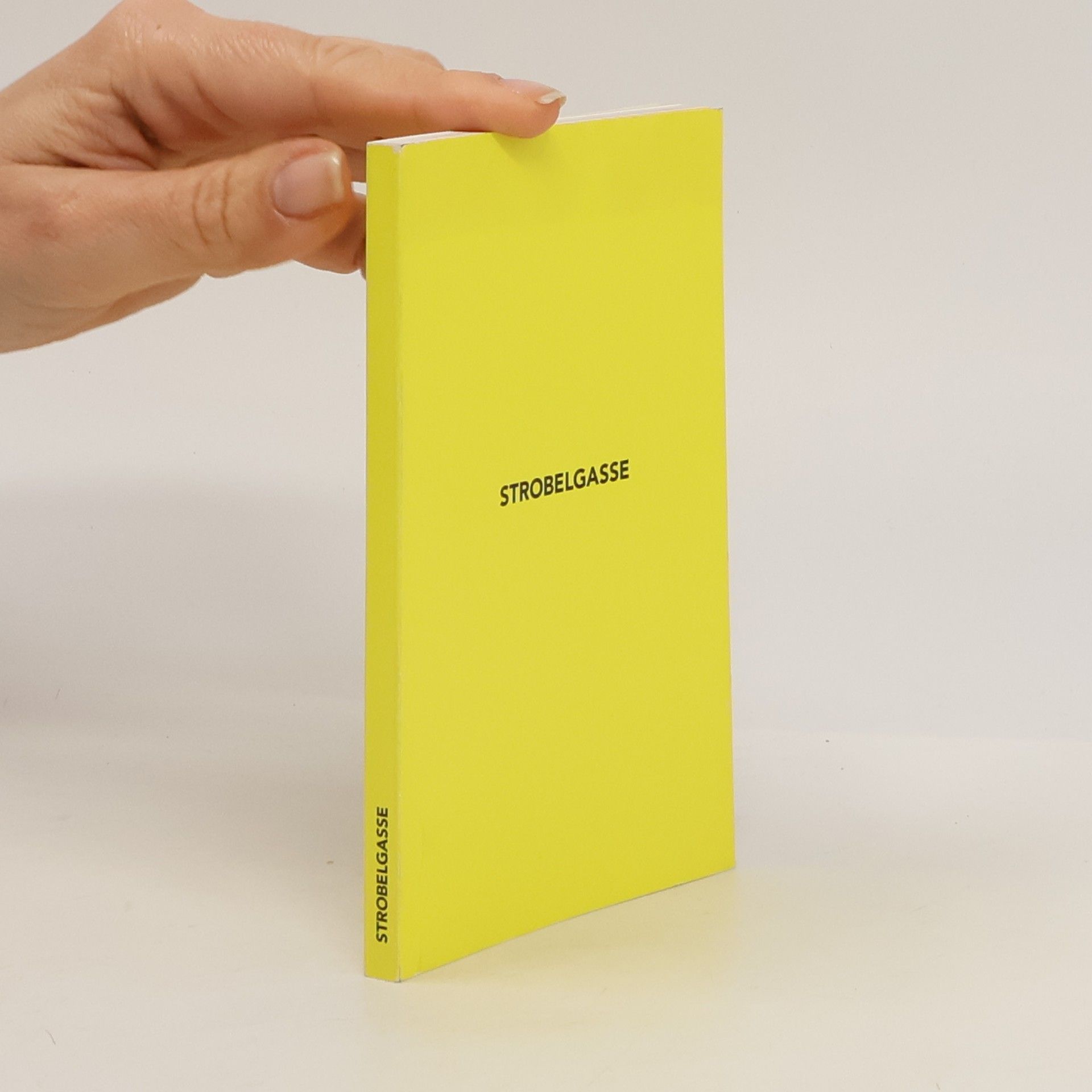 Autorenkollektiv Strobelgasse