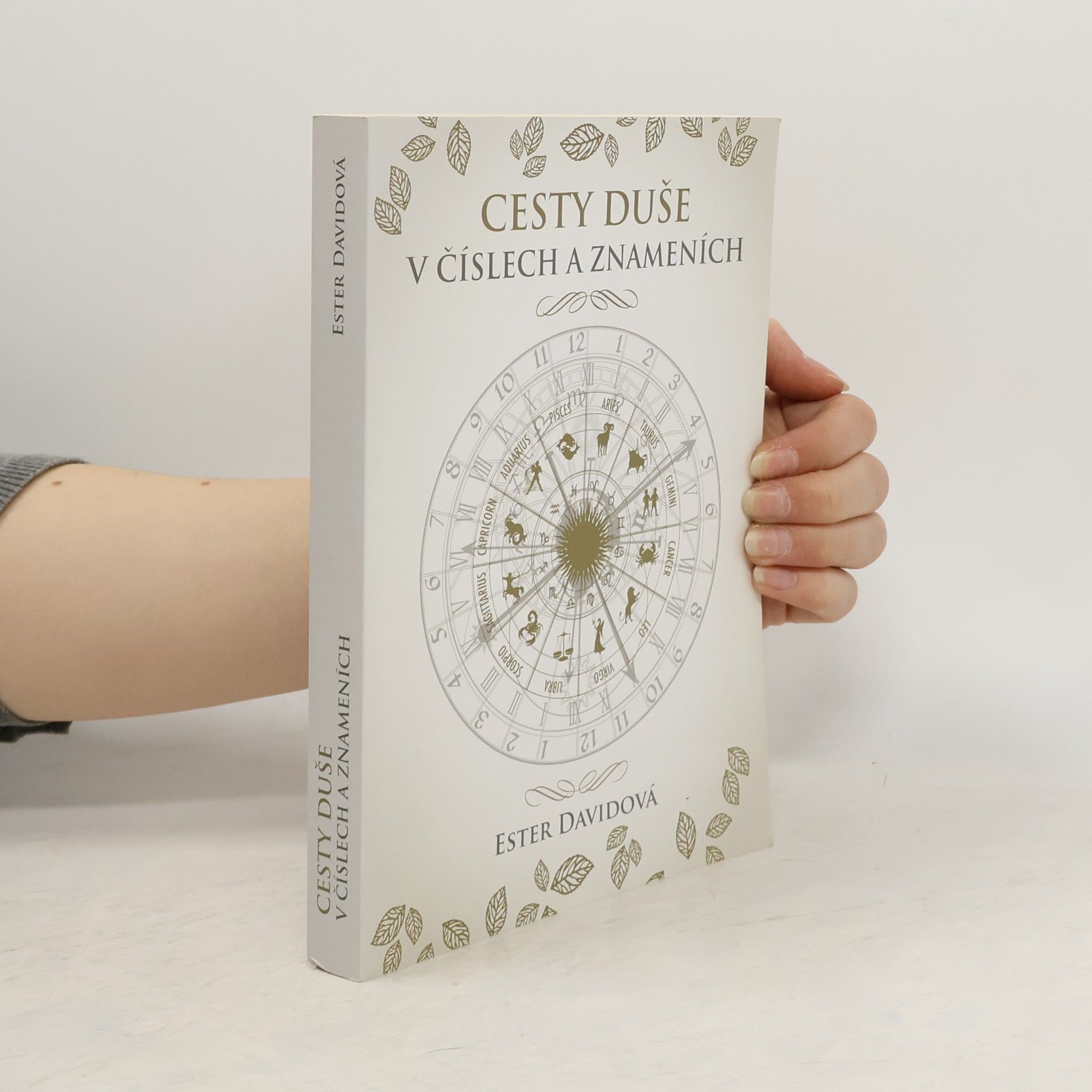 Ester Davidová Cesty duše v číslech a znameních