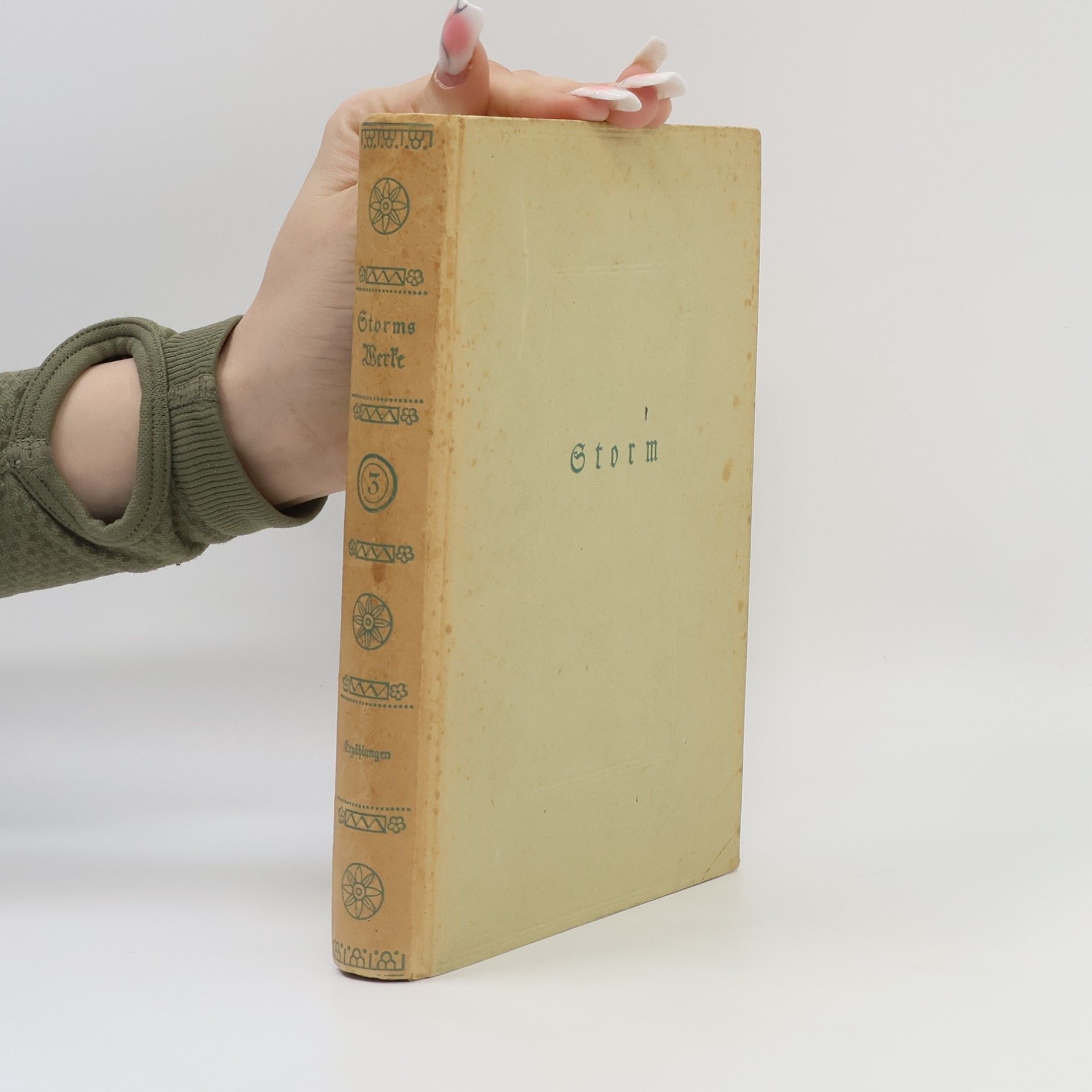 Hans Theodor Woldsen Storm Gesammelte Werke 3